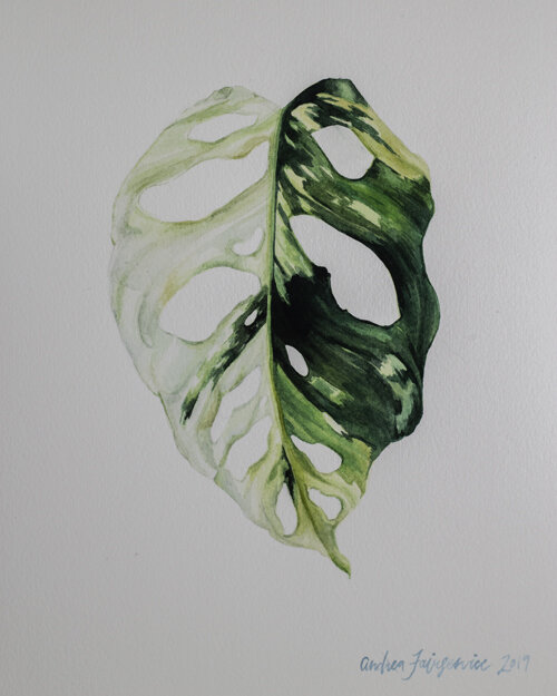 wandbild monstera LaLe Living Bild Leinwanddruck mit Monstera Deliciosa Pflanzen Motiv a main image 0