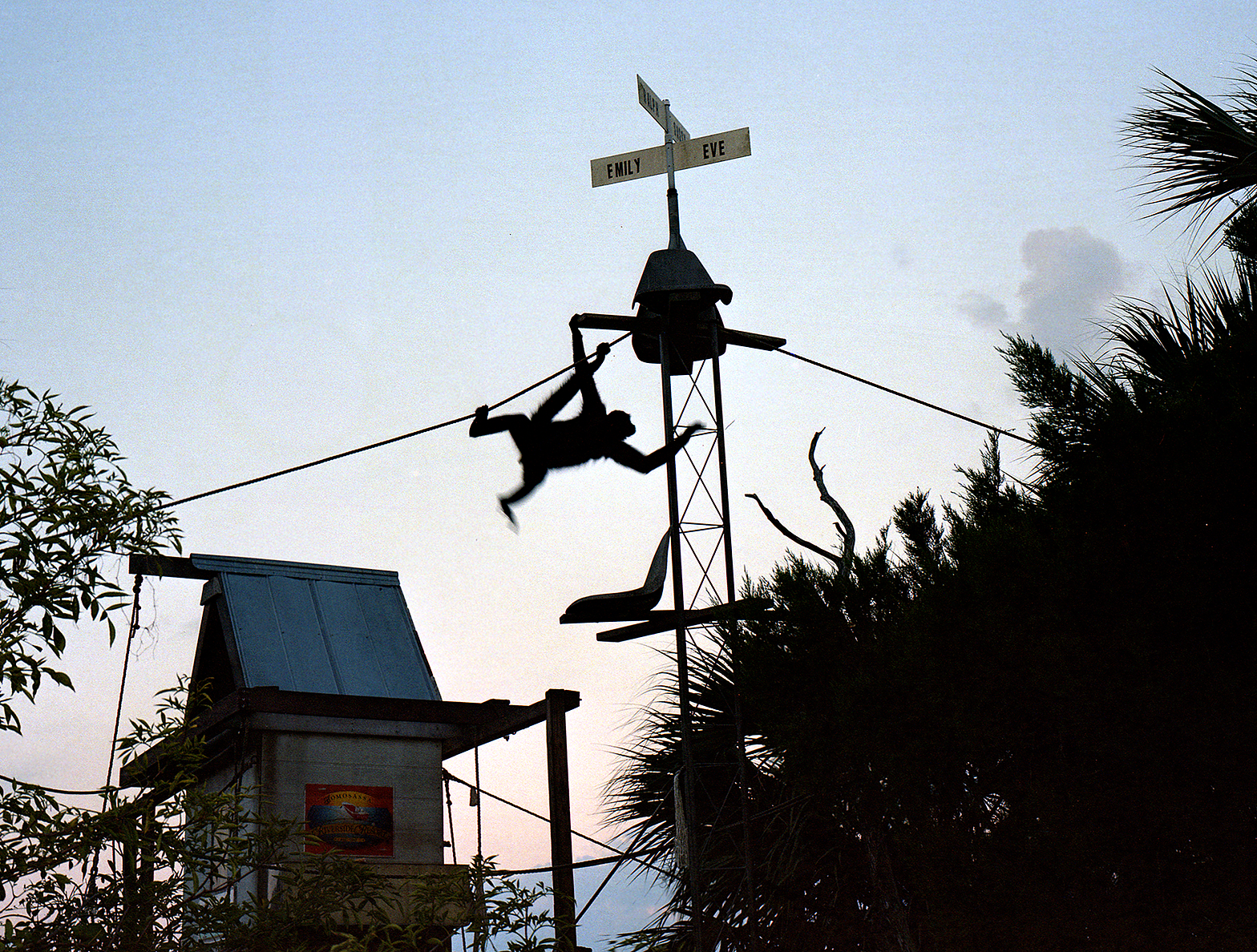 Last Light, Monkey Island, 2013