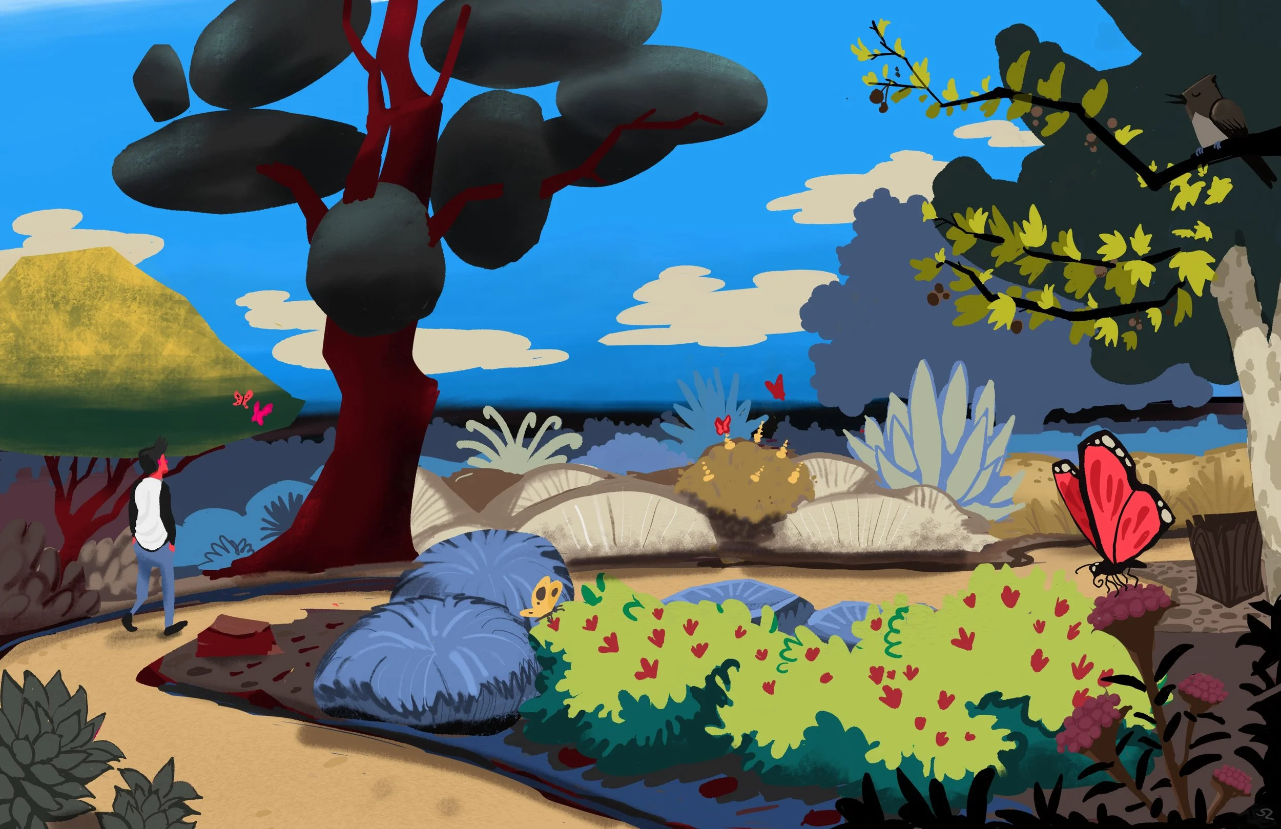 The Nature Garden - 11'' x 17'' - Digital 