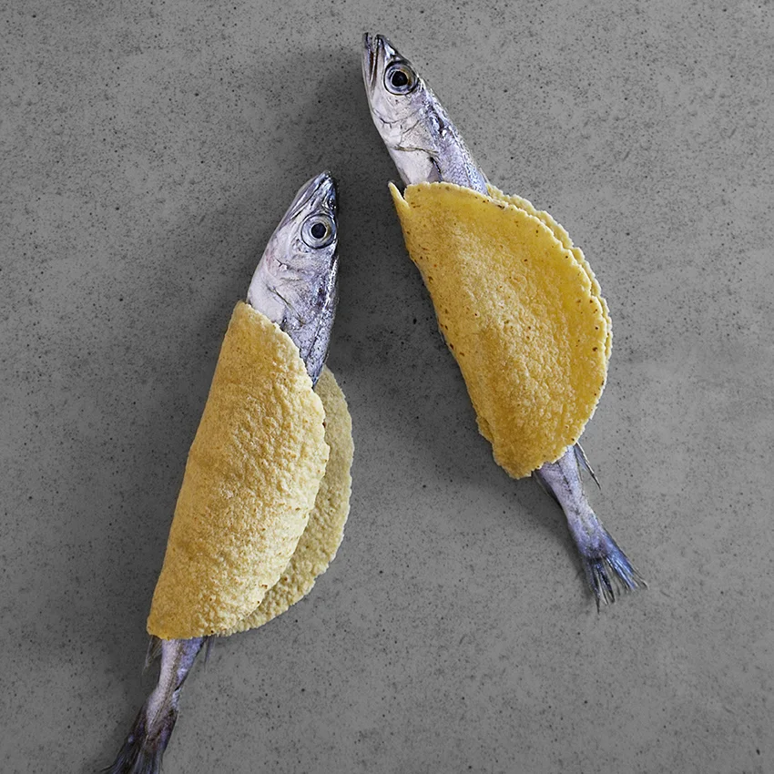 08-Mike Broderick.jpg