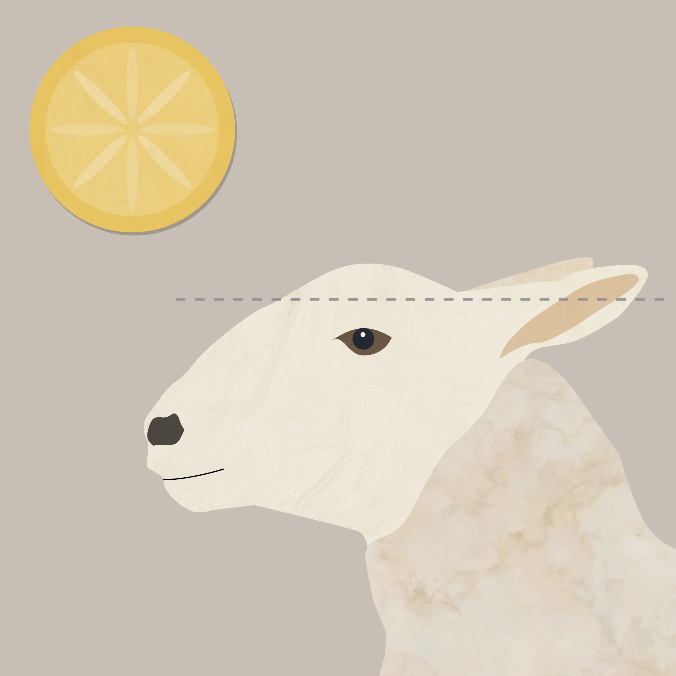 Sumac_IG_illustration_Thibault Poutrel.jpg