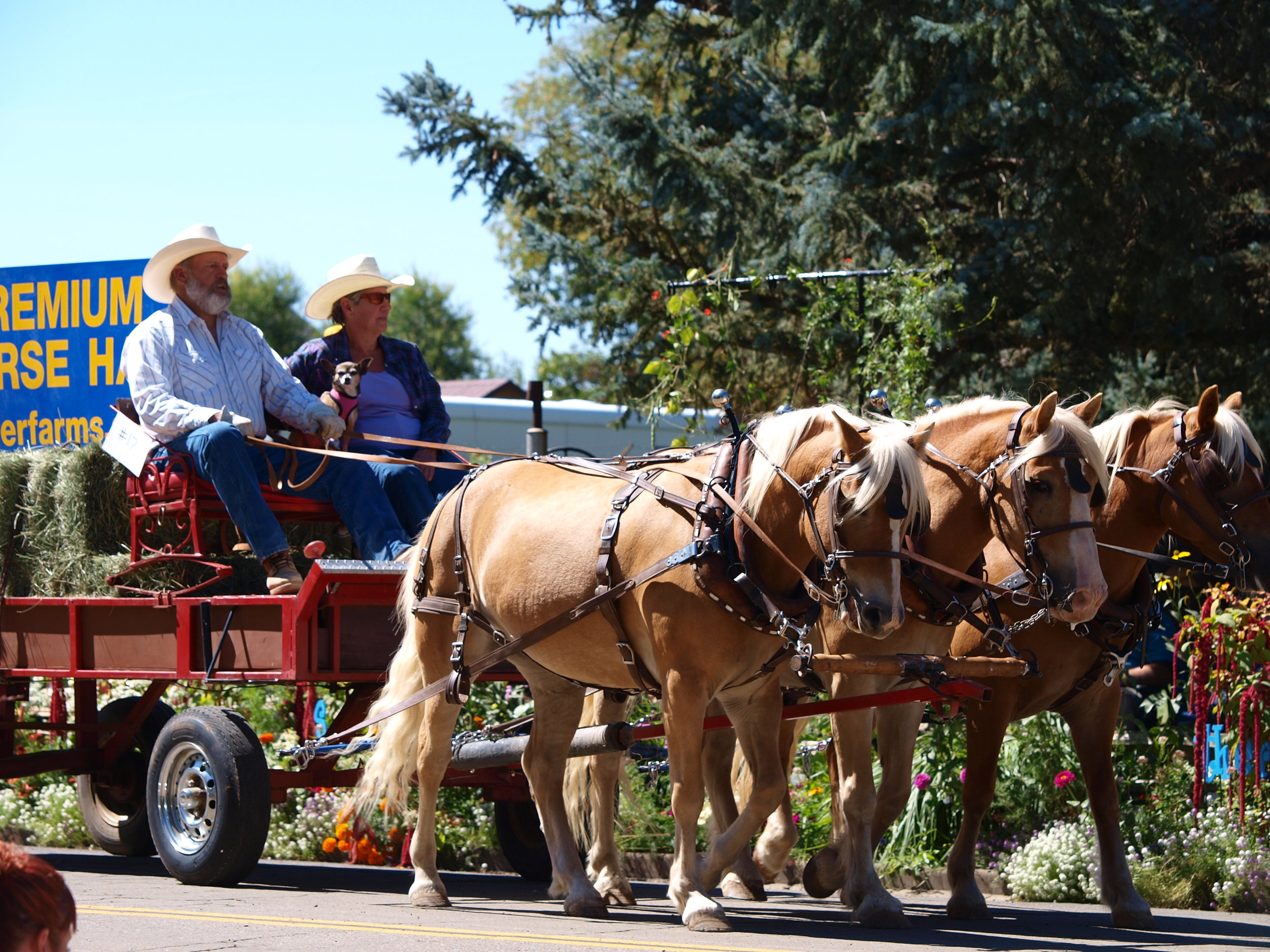 99th Inter-Mountain Fair - Day 1
