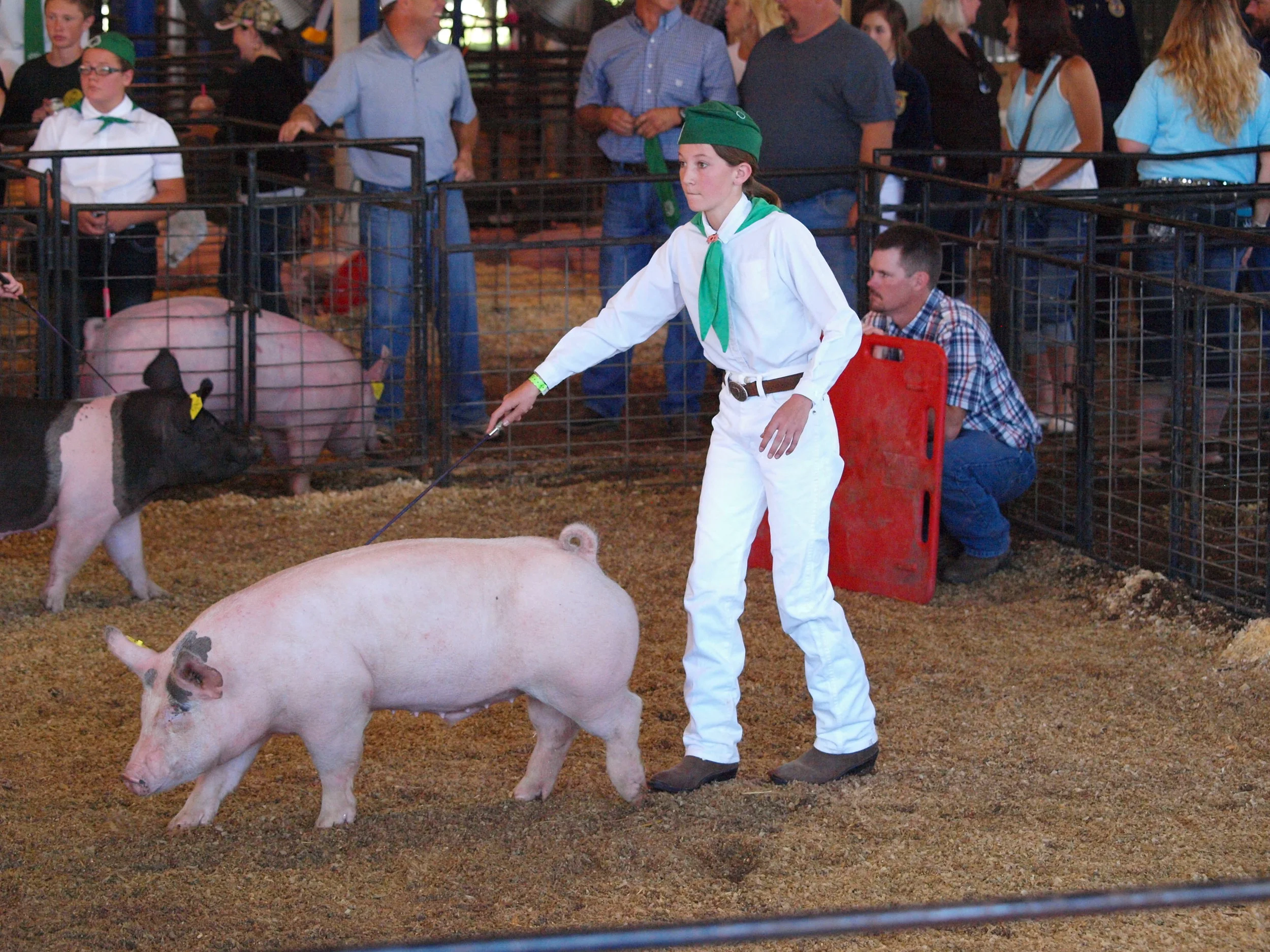 99th Inter-Mountain Fair - Day 2 (Senior's Day)