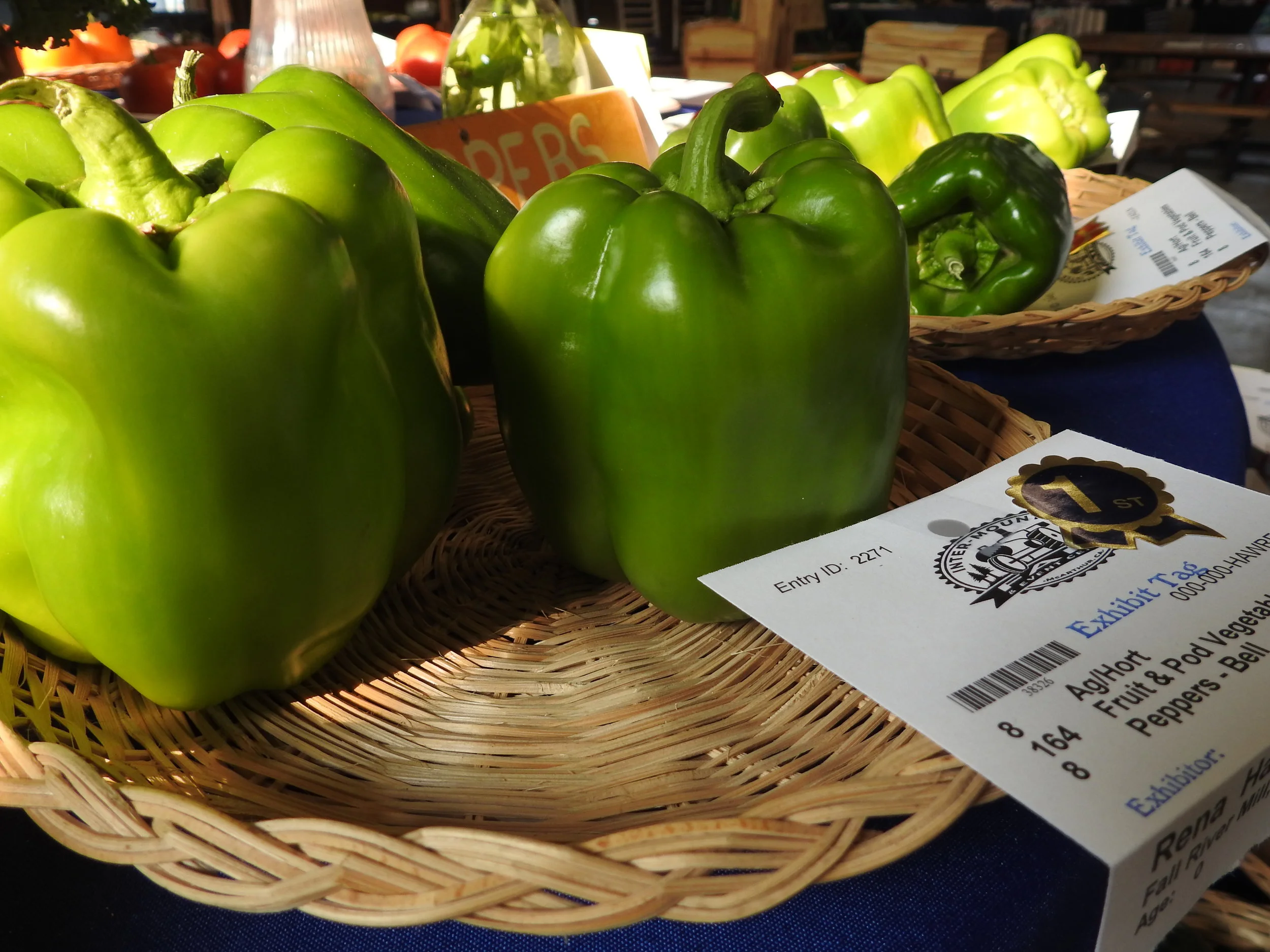 100th Inter-Mountain Fair - Day 3