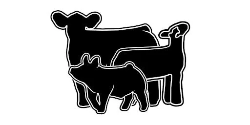 Large Animal Field Day