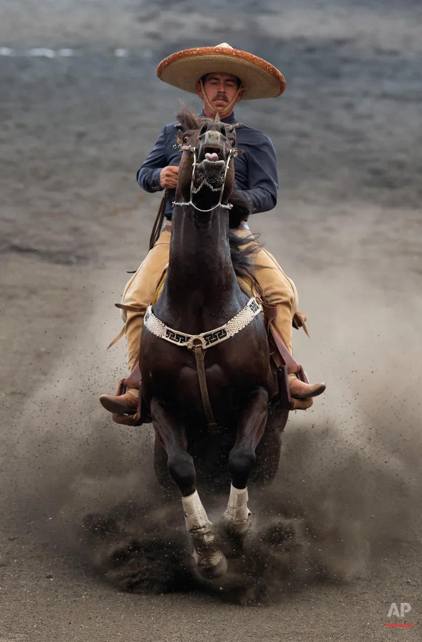 Mexican Rodeo