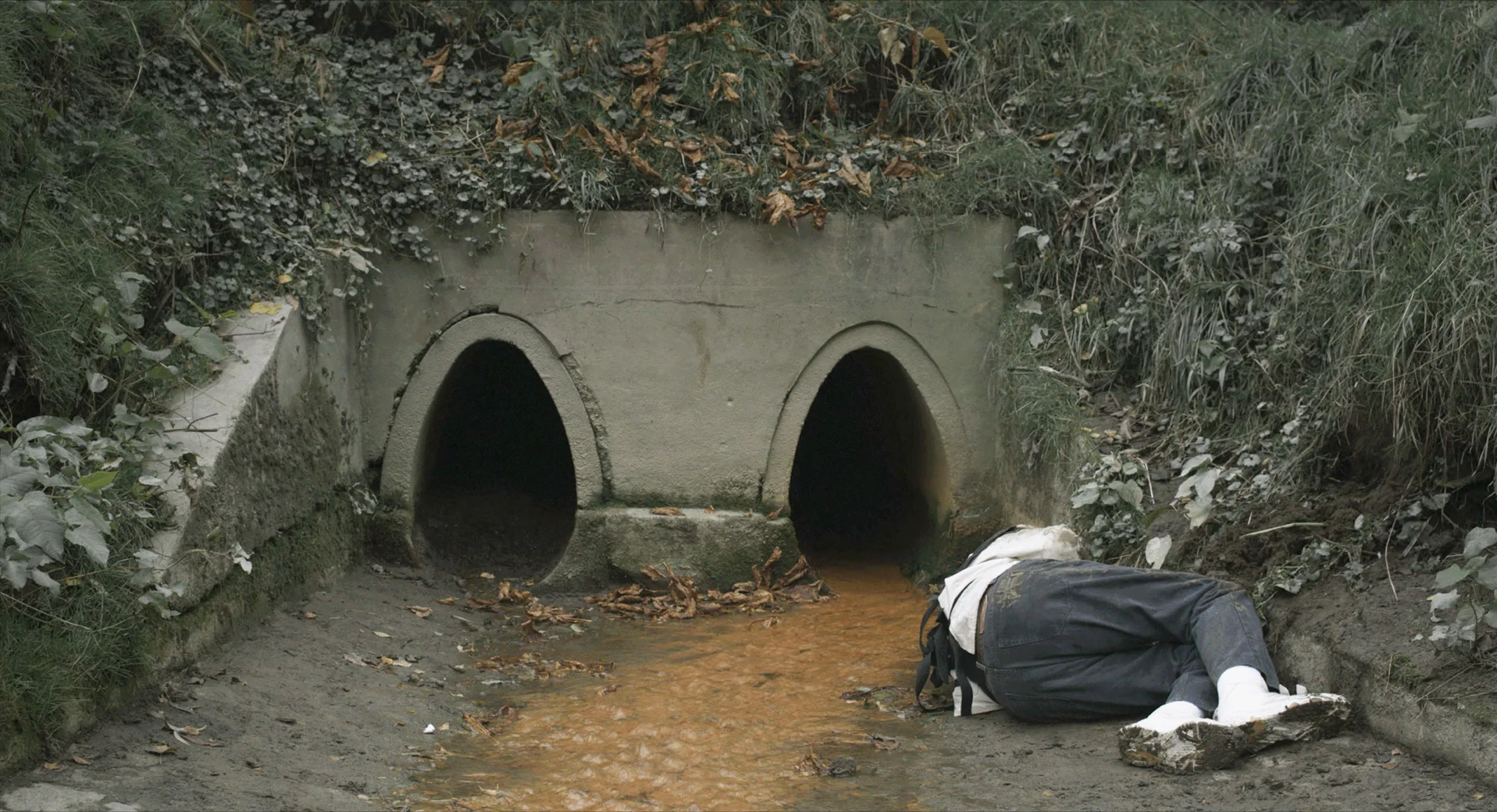 2_SIENIAWKA_STILL_STEFAN.jpg
