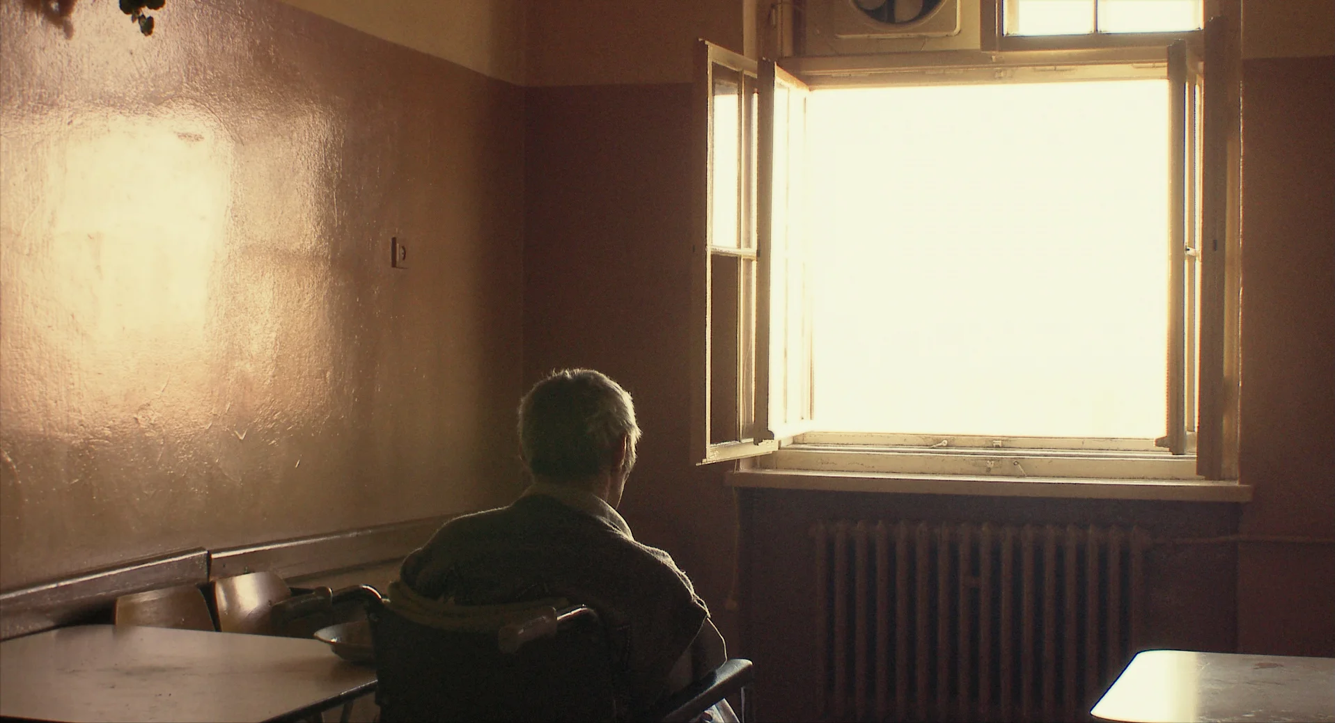 6_SIENIAWKA_STILL.jpg