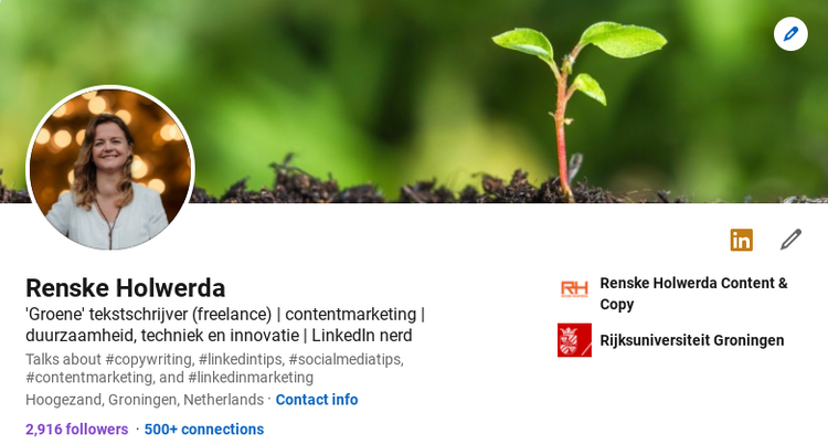Screenshot LinkedIn-profiel Renske Holwerda