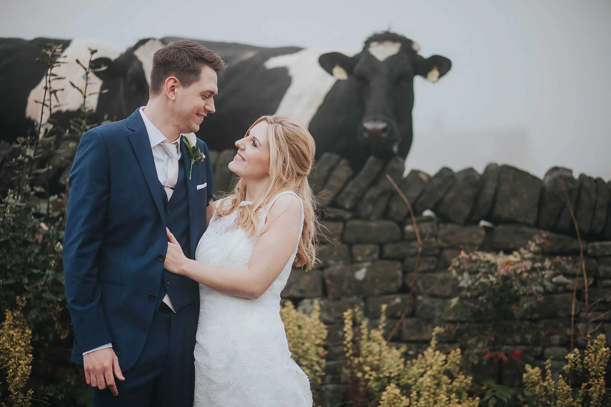 The White Hart Inn Lydgate cows