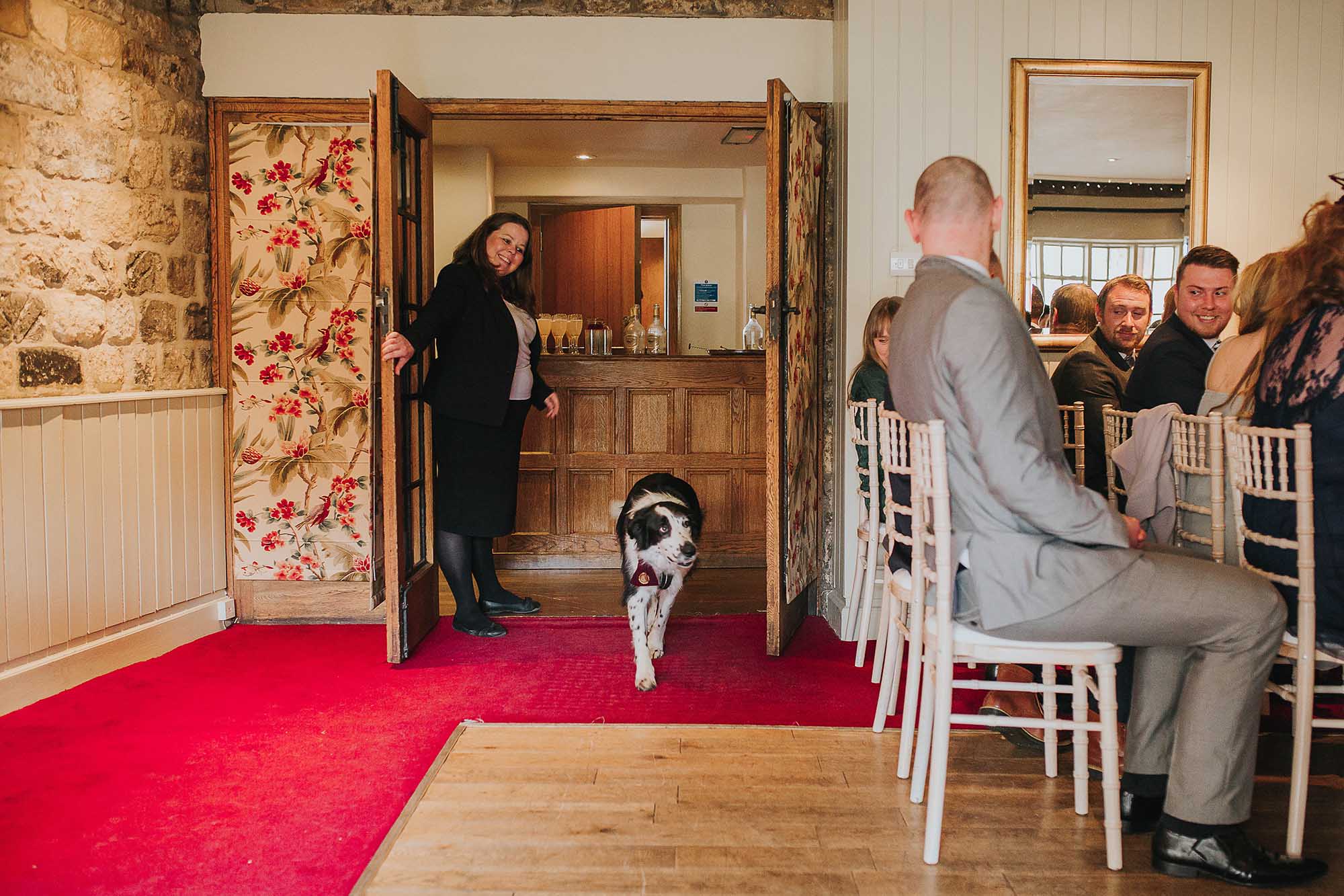 dog friendly wedding venue North Yorkshire