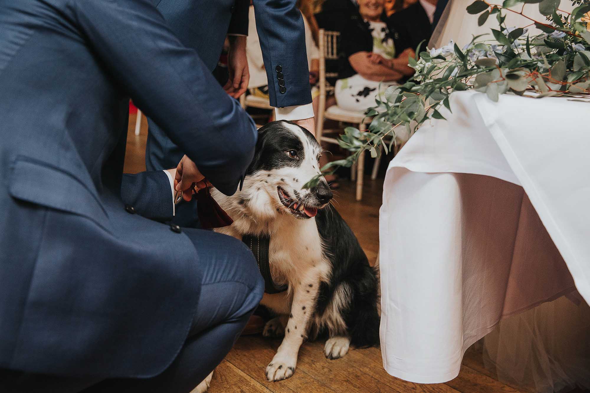 dog friendly wedding in Yorkshire