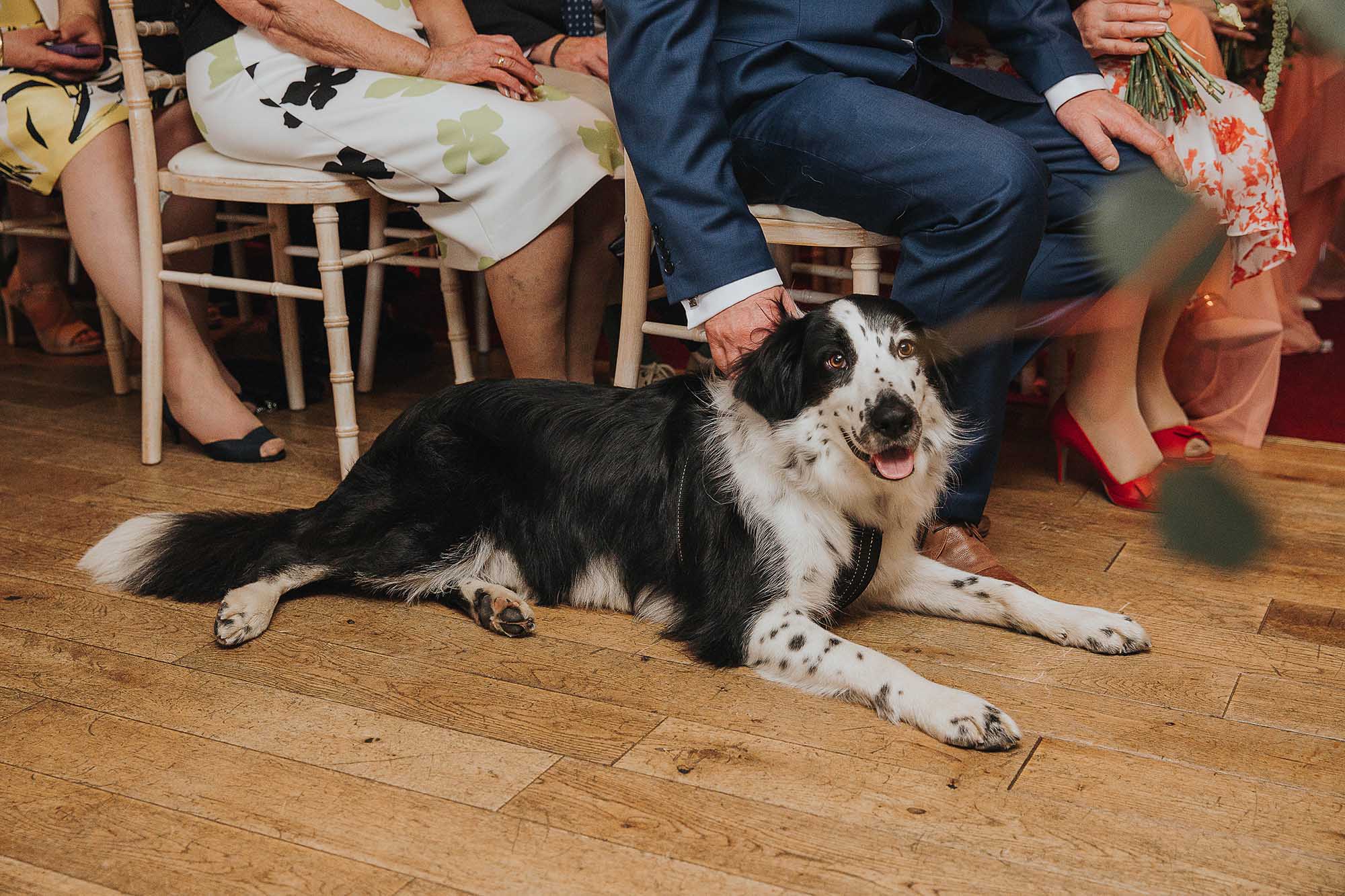 dog friendly wedding venue in Yorkshire