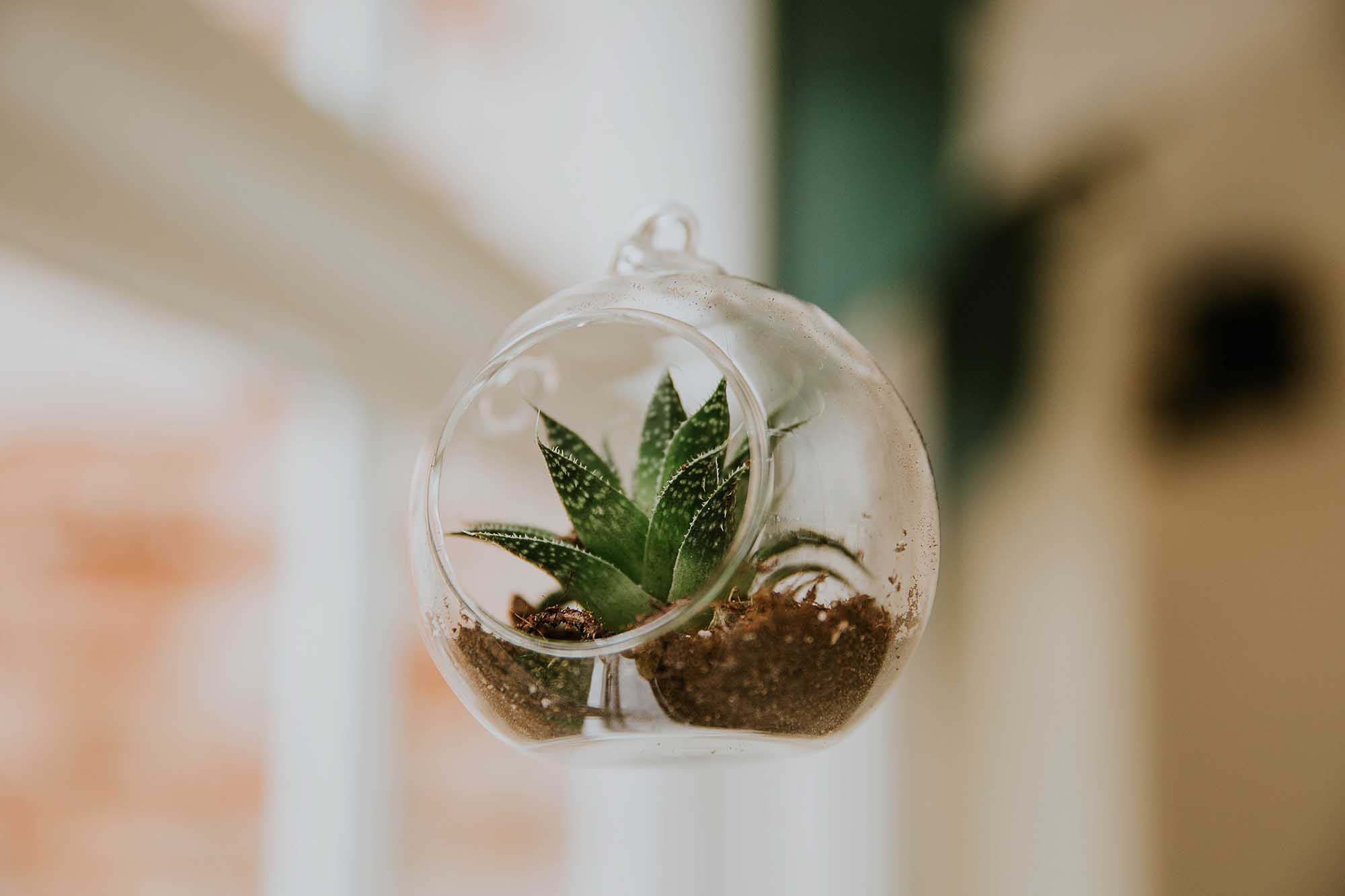 succulent wedding styling