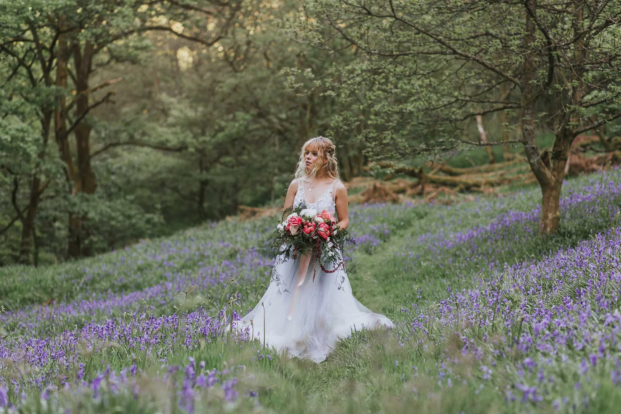 bluebells at Gibson Mill