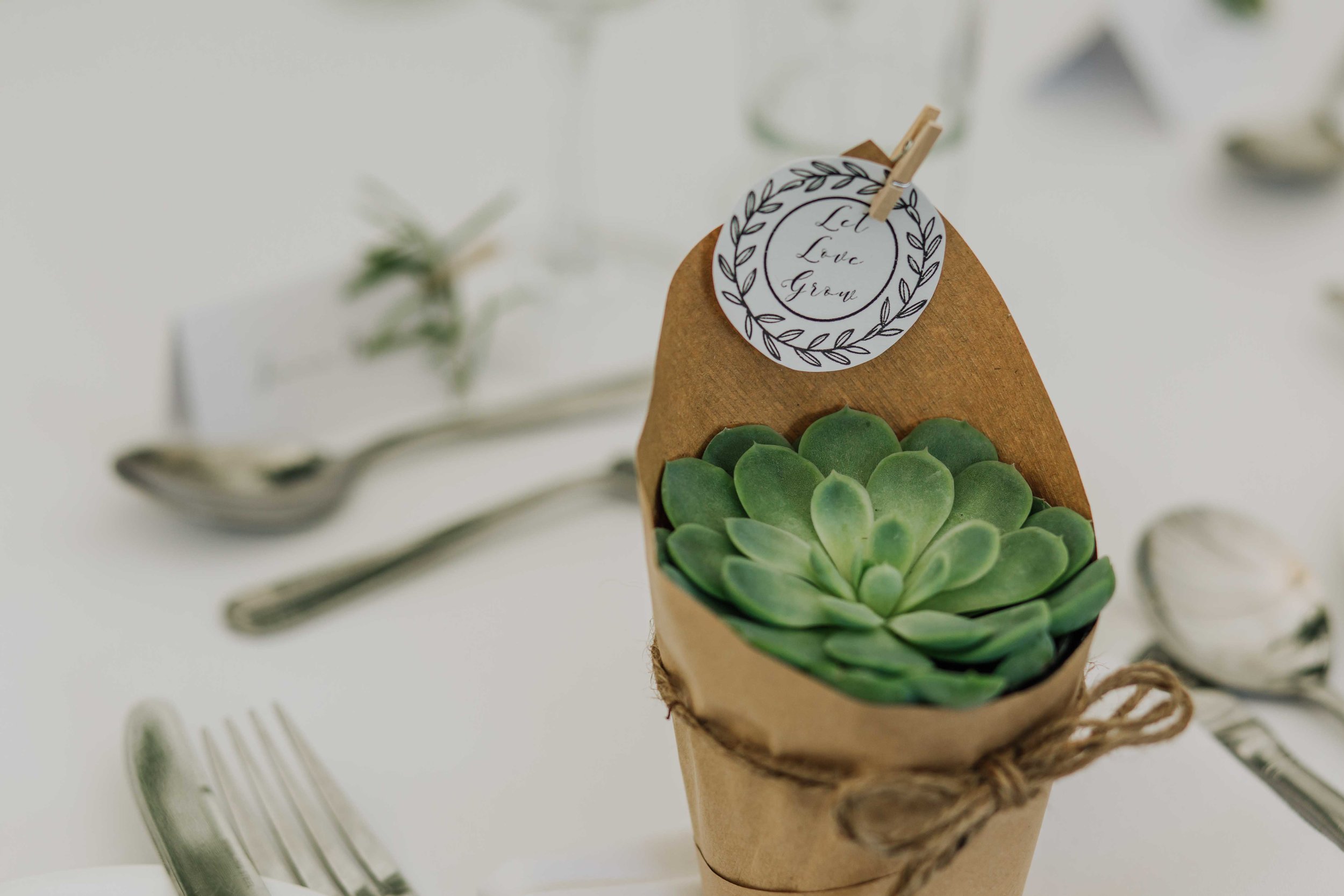 succulents wedding decor