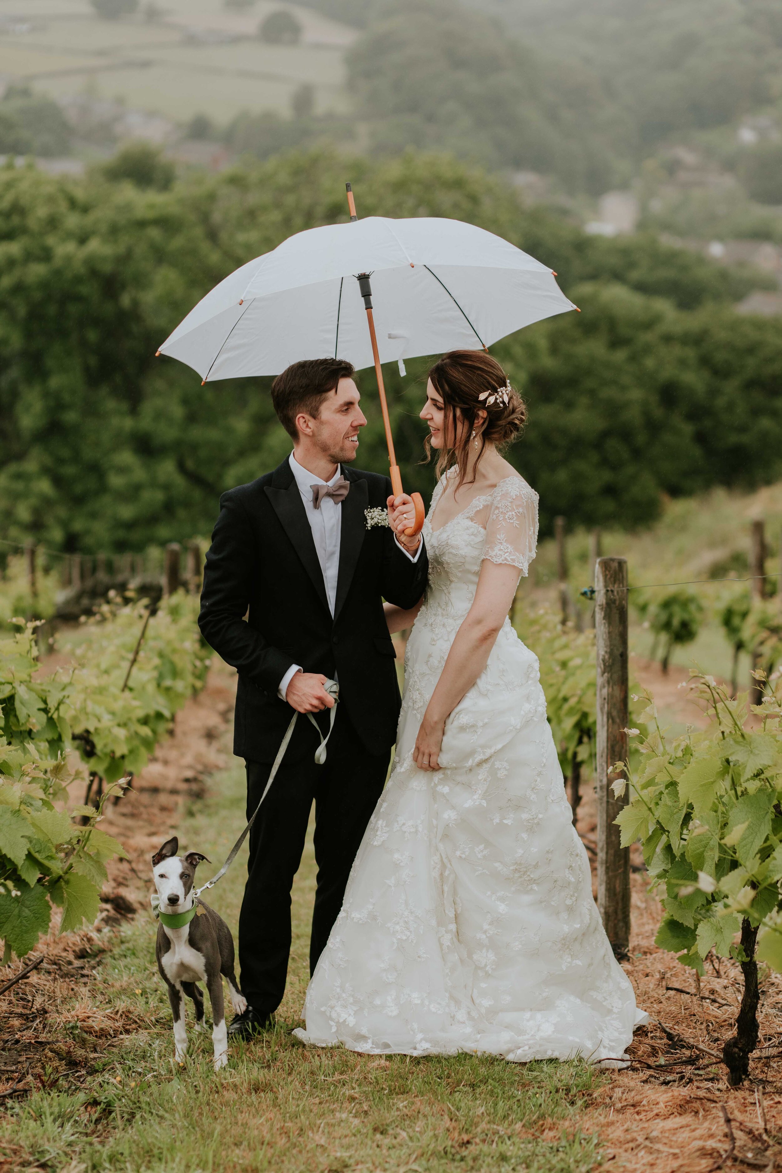 Holmfirth Vineyard West Yorkshire