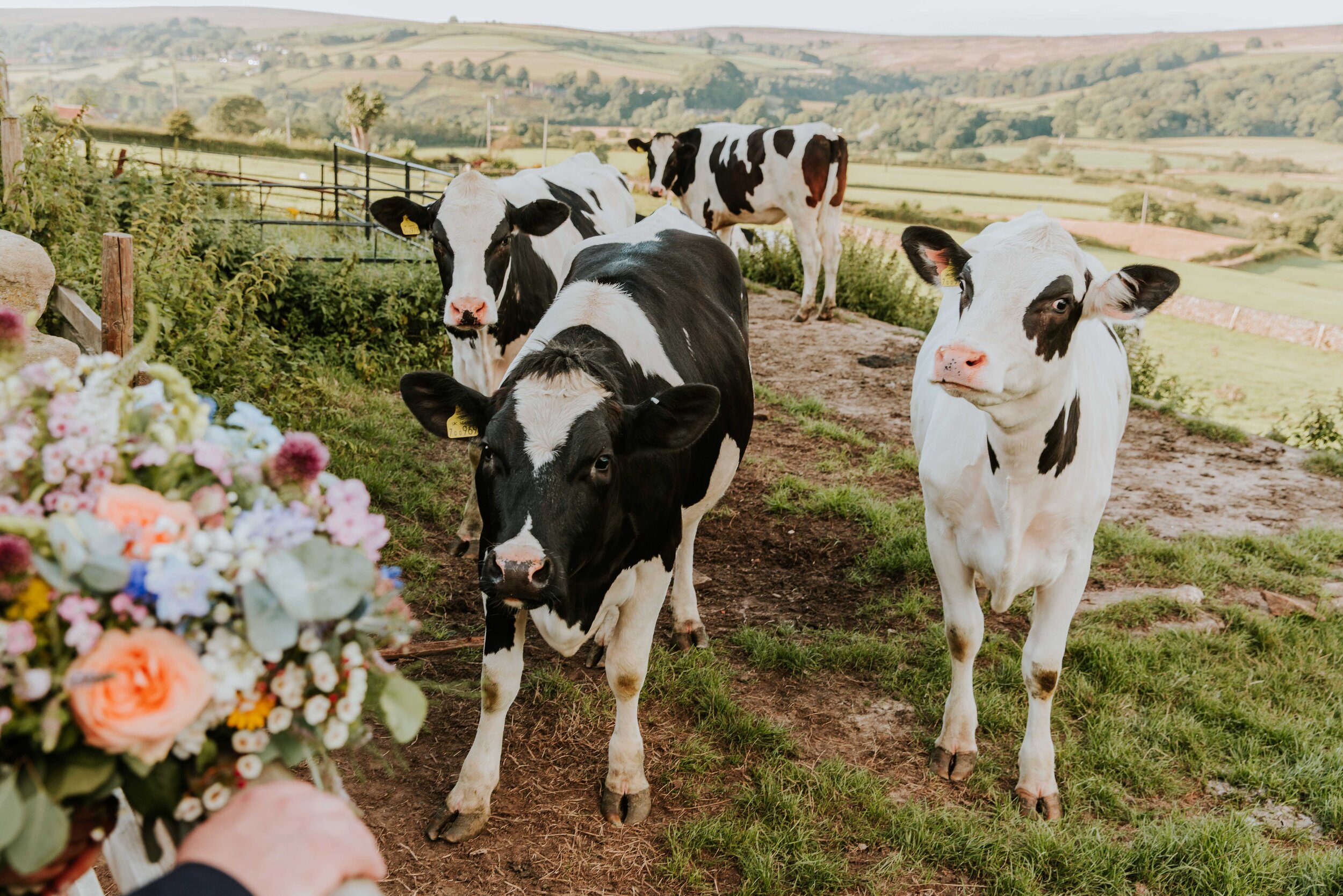 Yorkshire wedding photographer