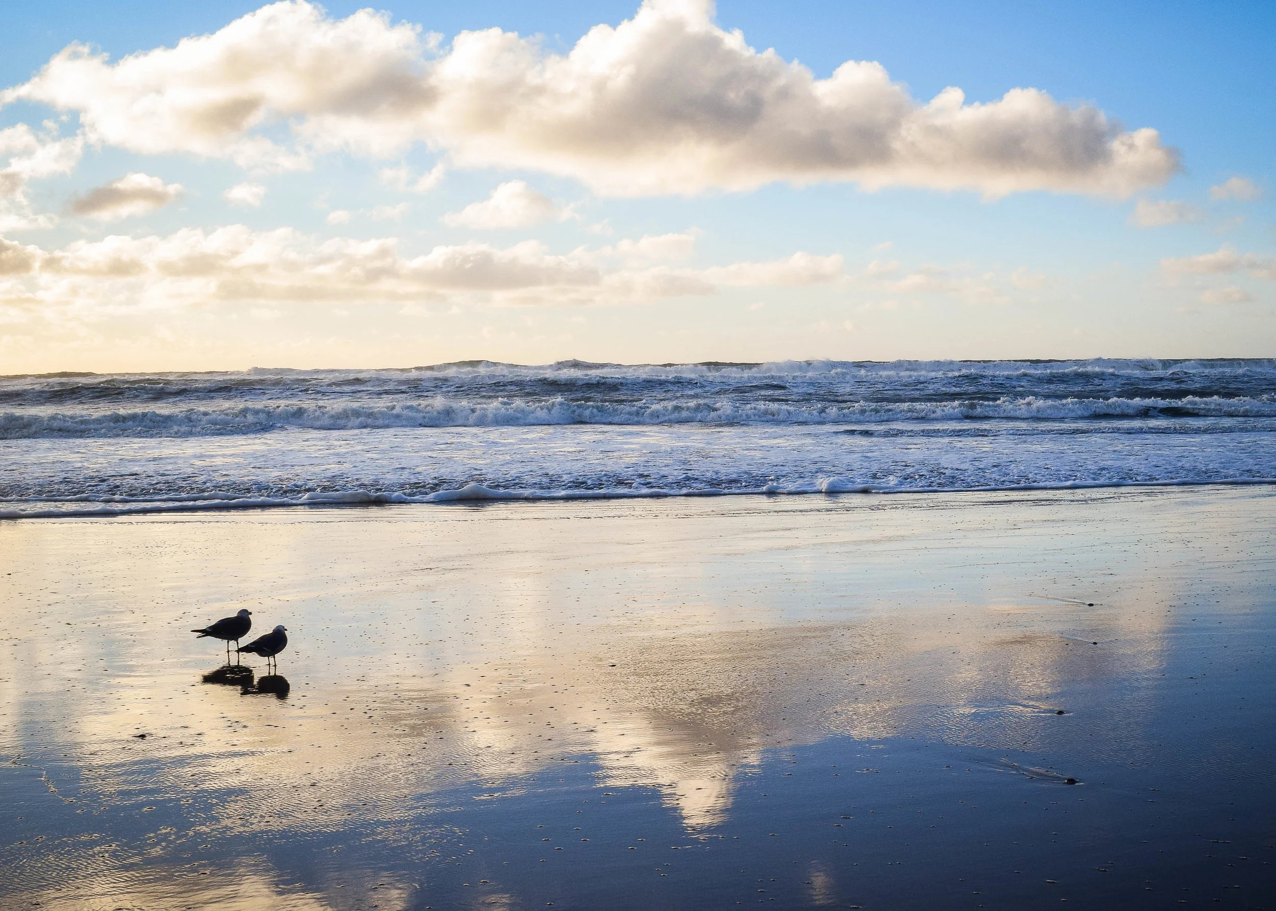 DSC_1203-2.jpg