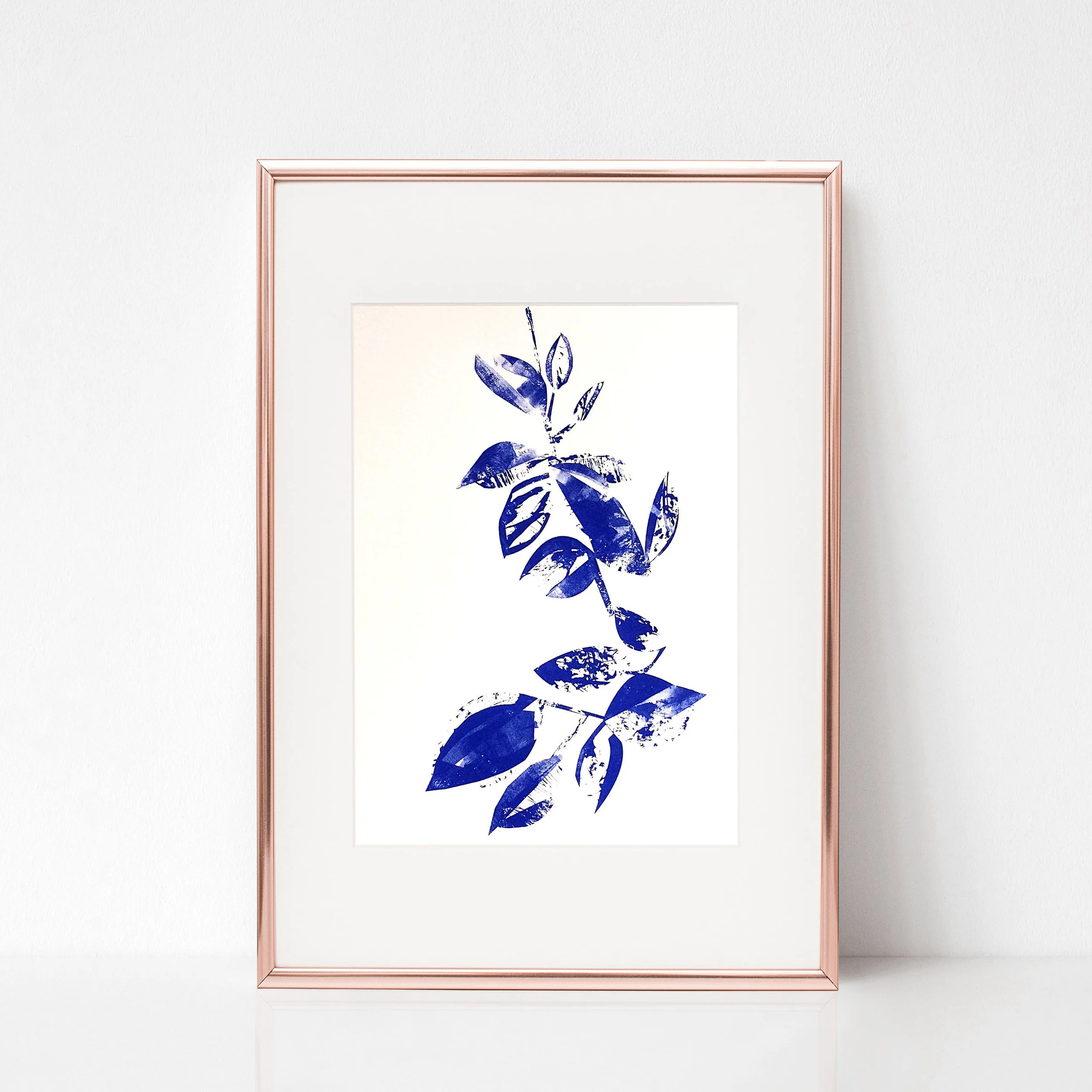 Blue Hoya.jpg