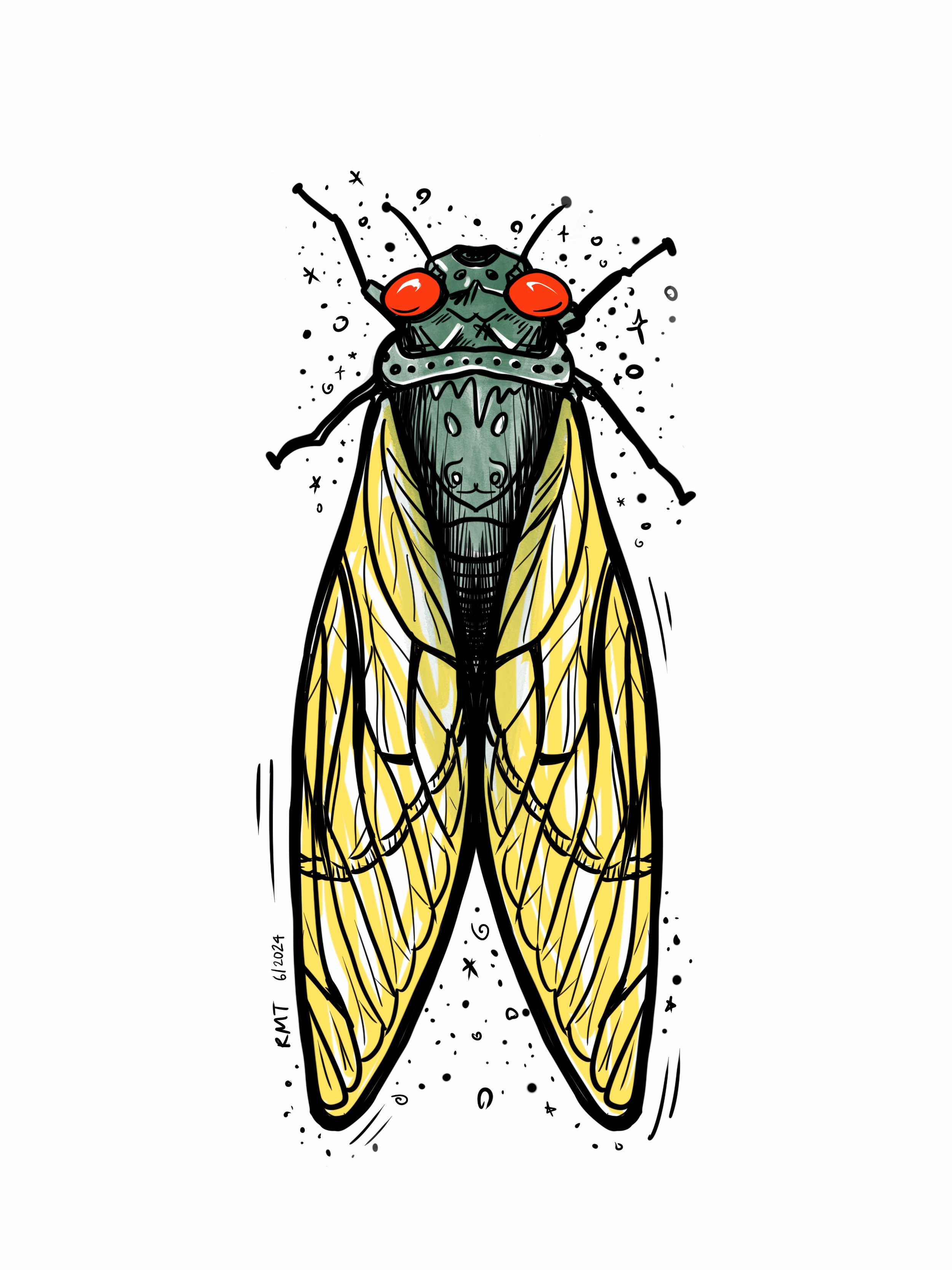 Cicada_upscale.jpg
