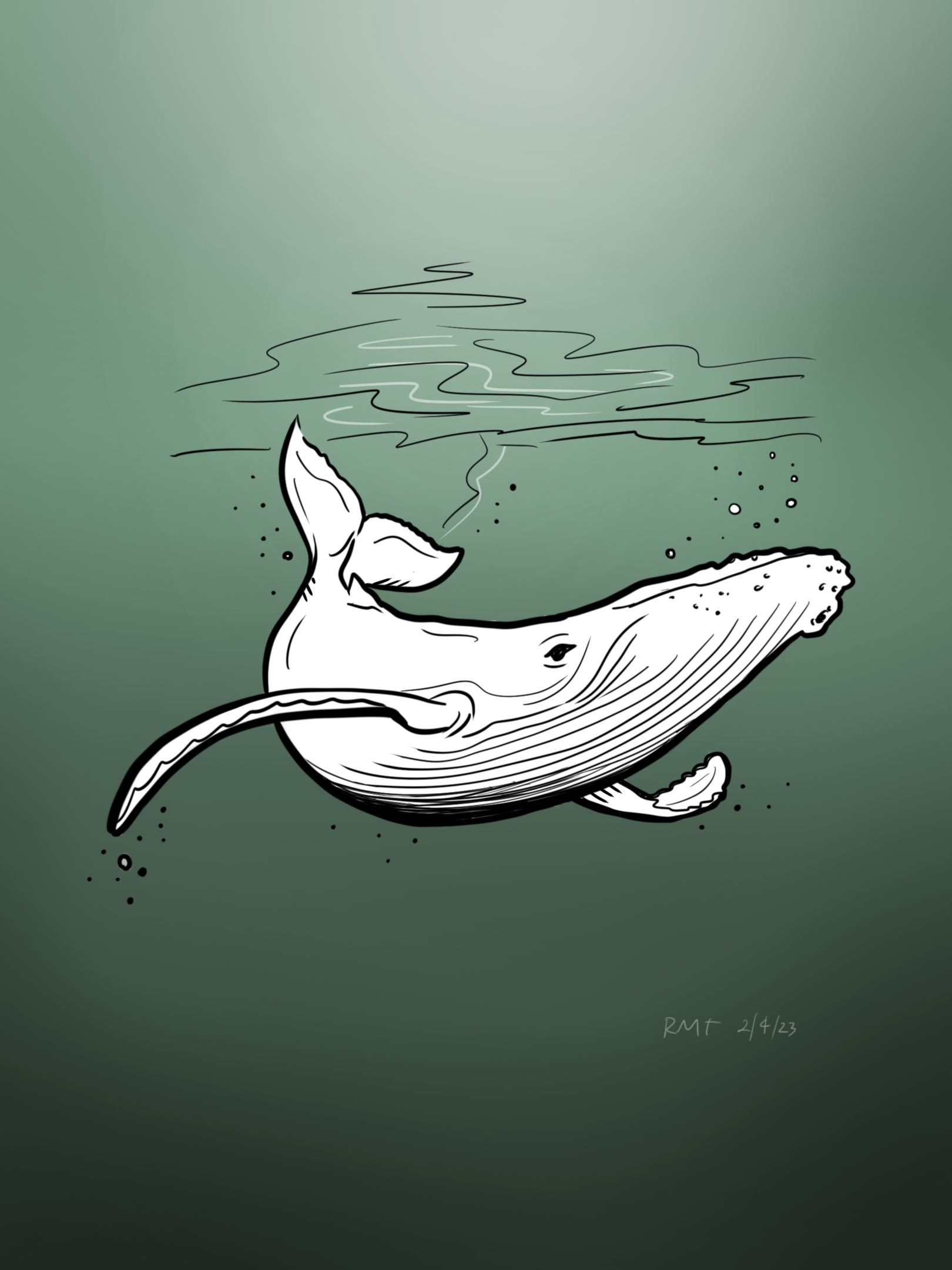 Humback whale.PNG