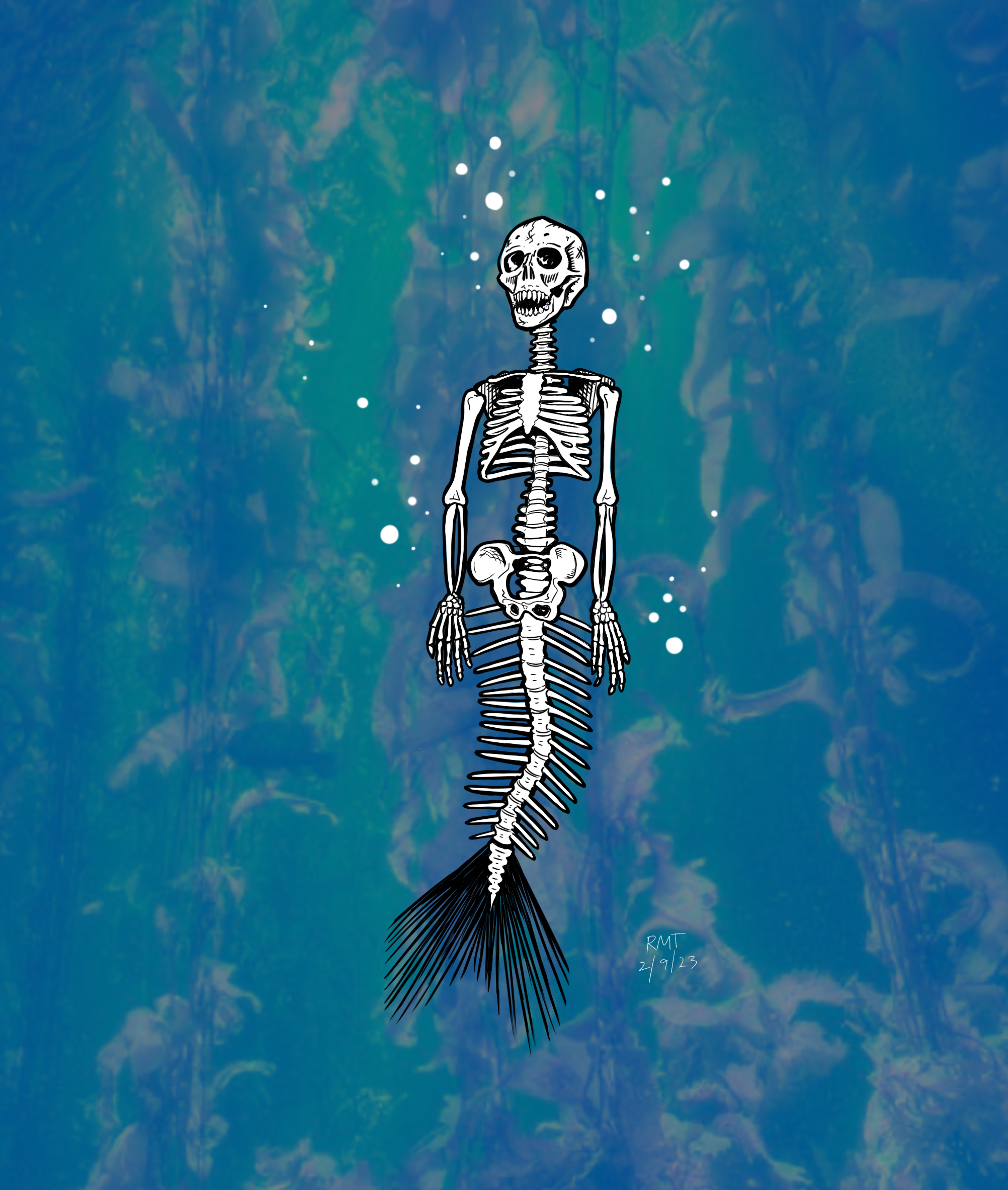 mer-skelly.PNG