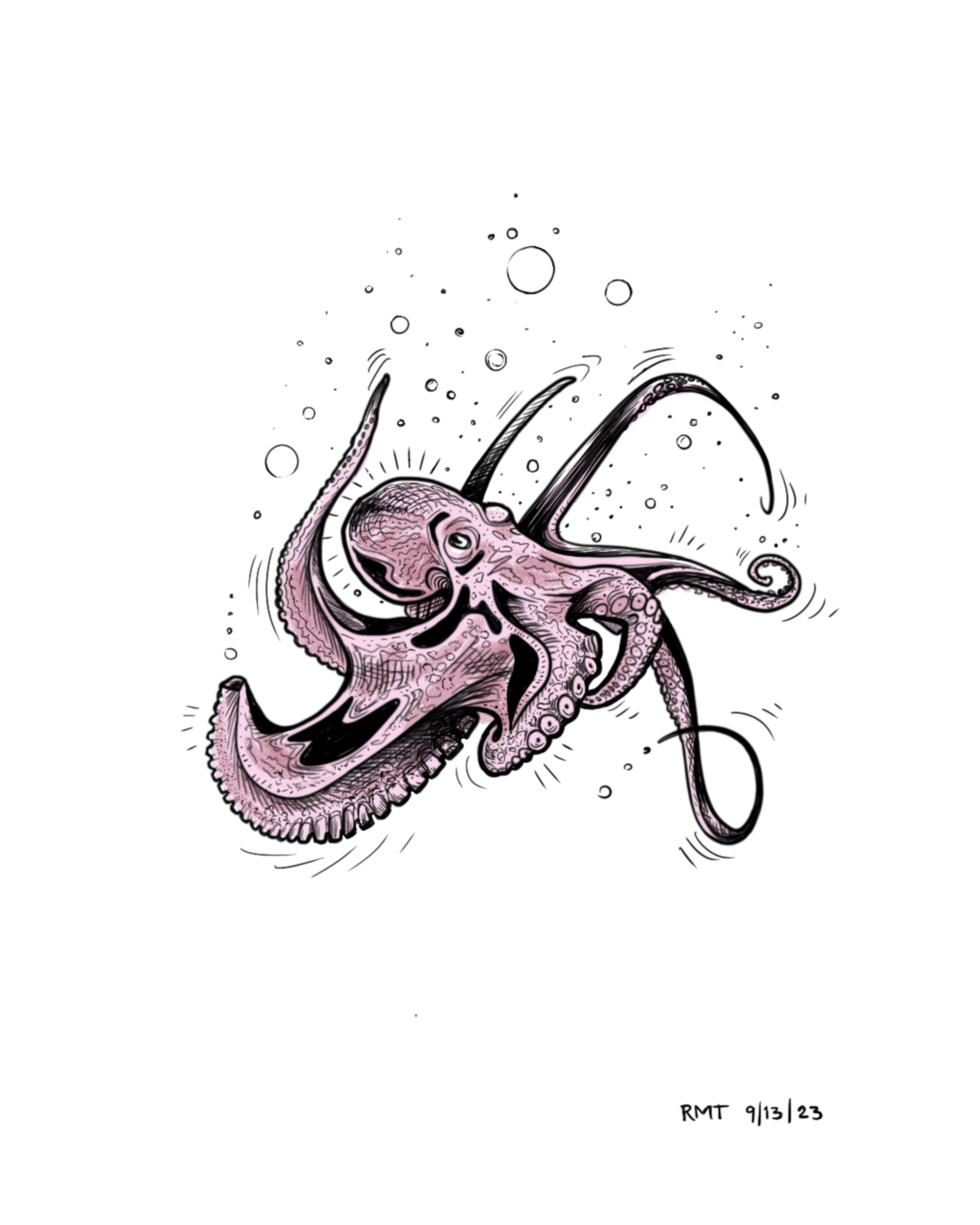Octopus 1.PNG