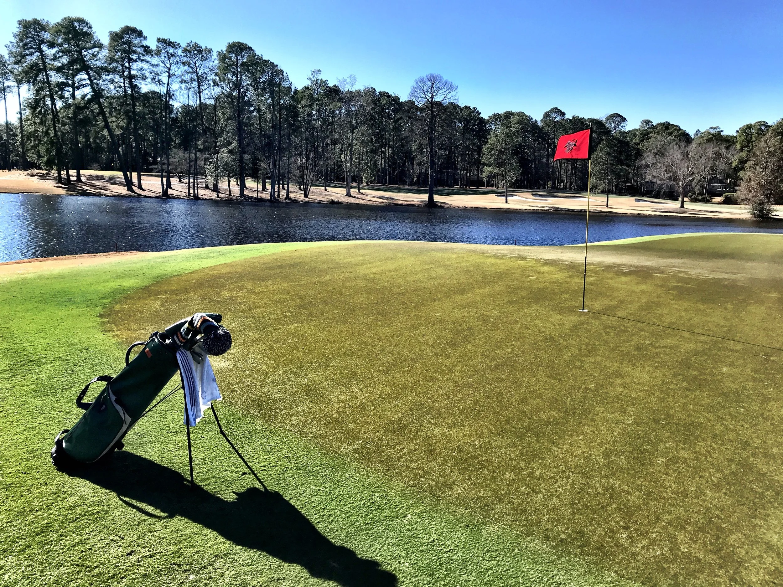 After a dreary and sodden December and first week of 2019, the sun bathing the fifteenth green at CCNC was a wonderful sight.