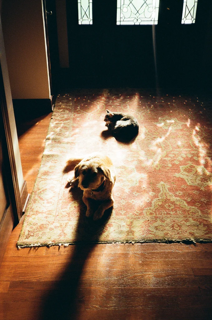 Photos of Nashville in the Summer | Film Photography