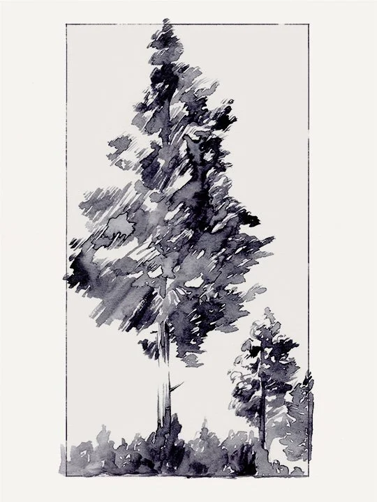 Inky Evergreen I.jpg