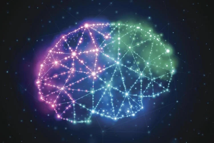 brain.jpg