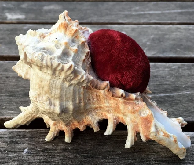 shell.jpg