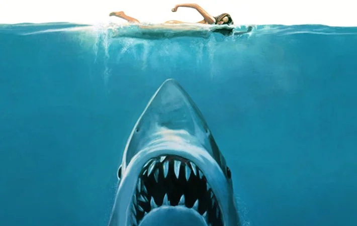 shark.jpg