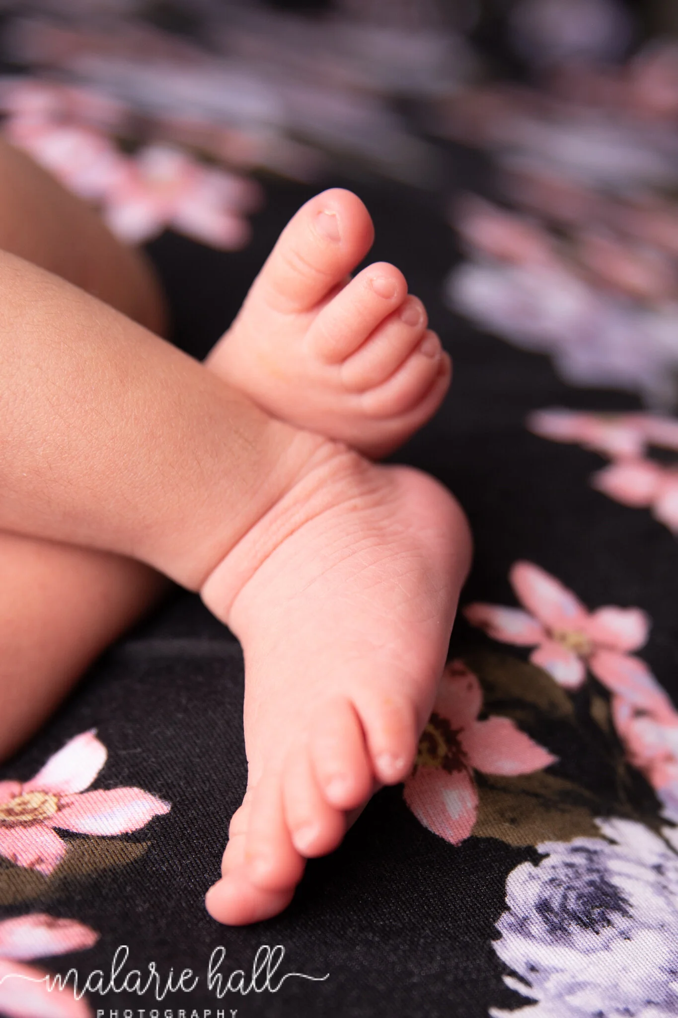 kinley-0505.jpg