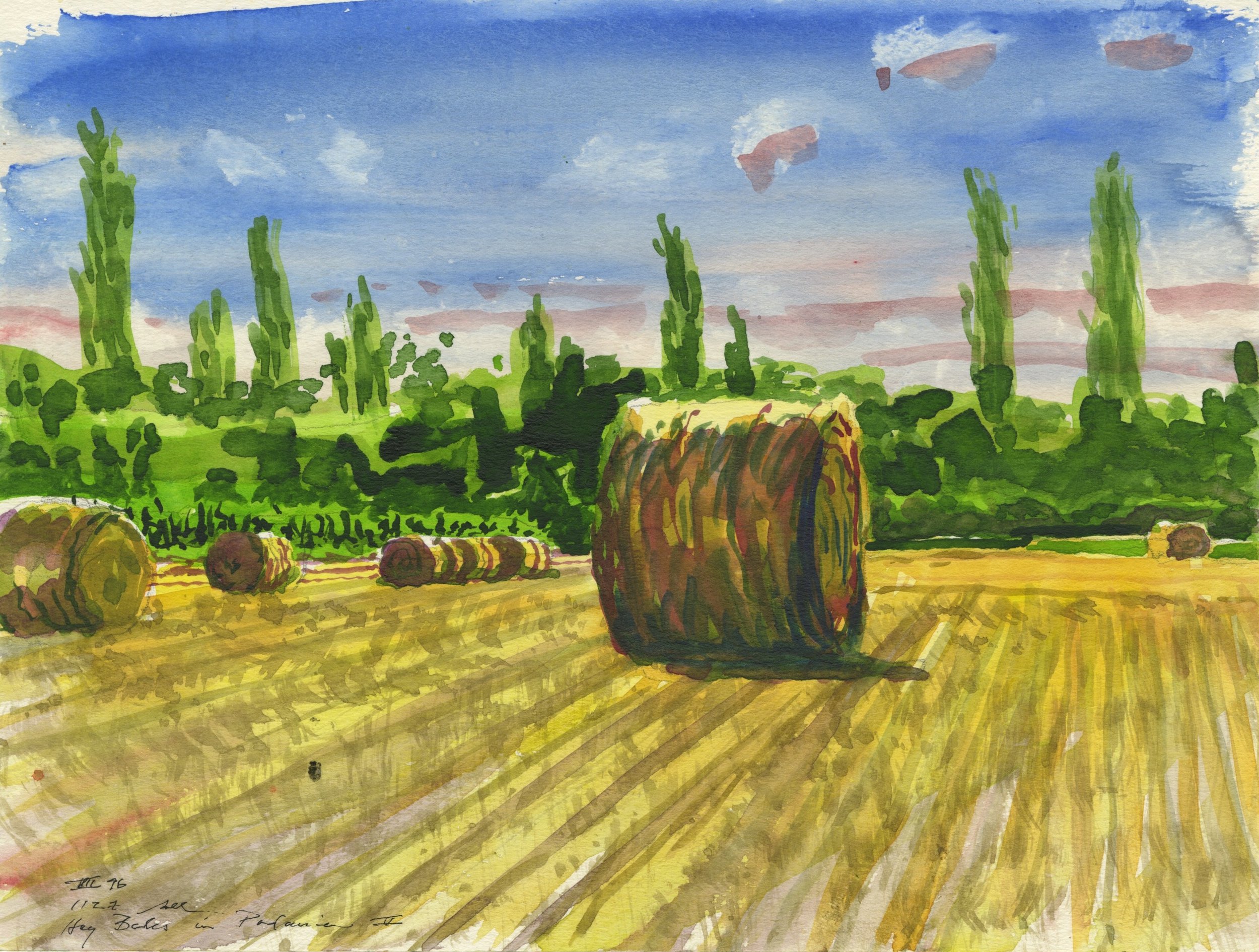 Hay Bales in Padania V