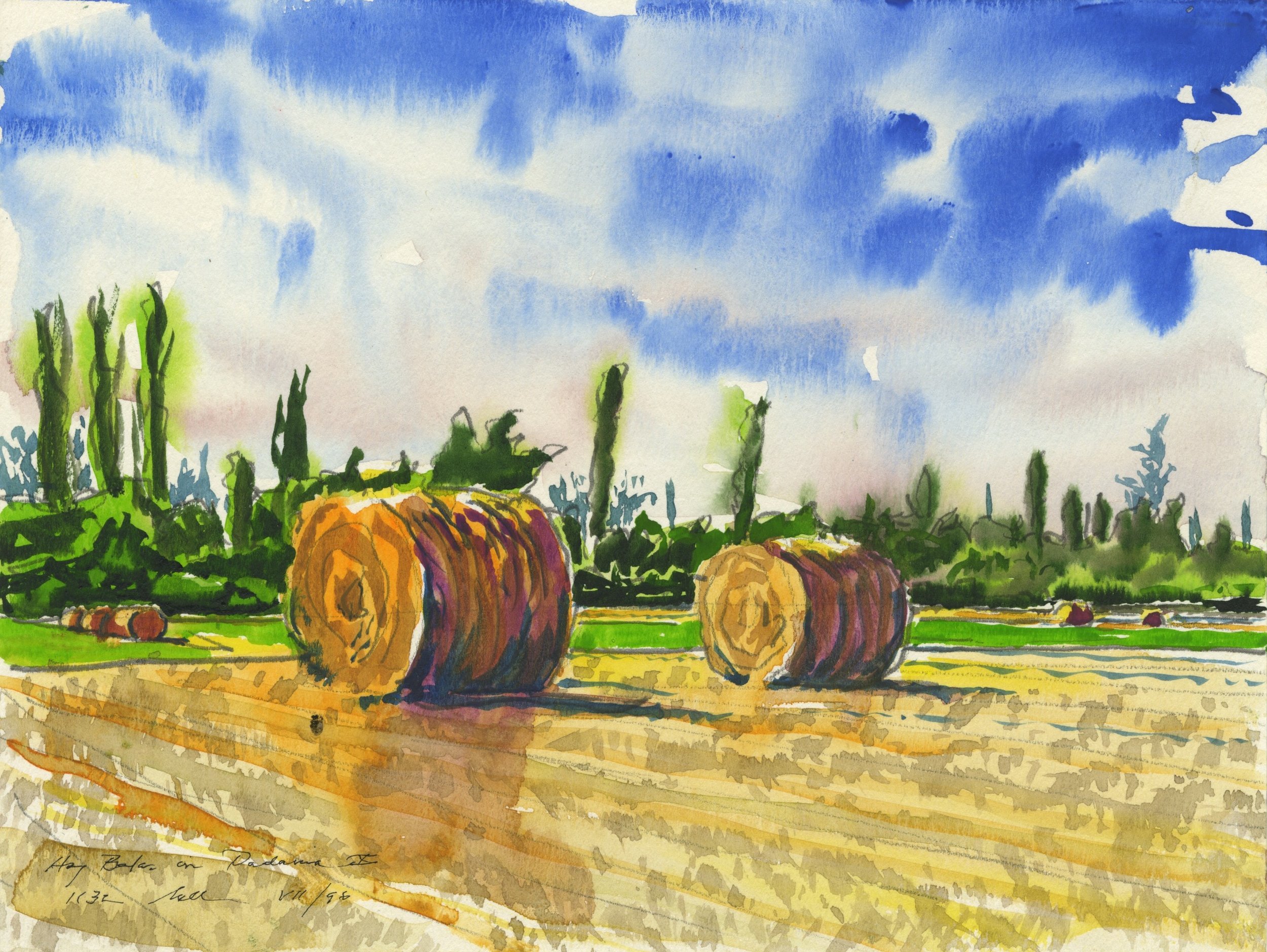Hay Bales in Padania X
