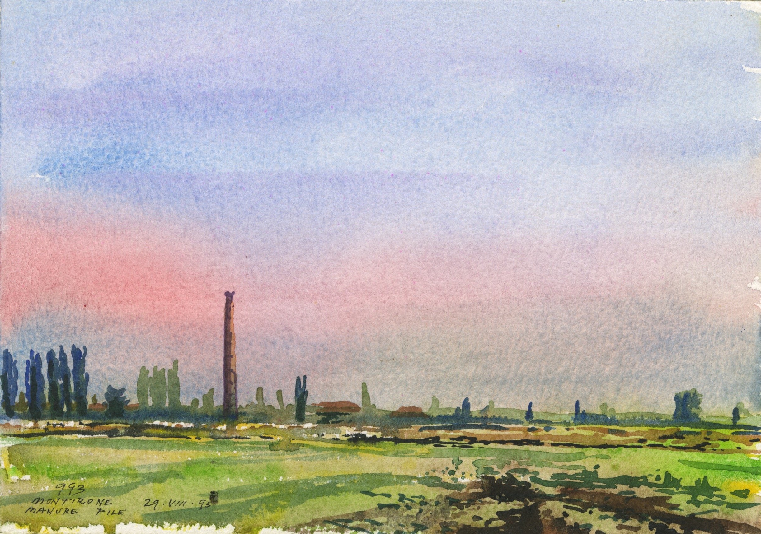 Manure Pile I