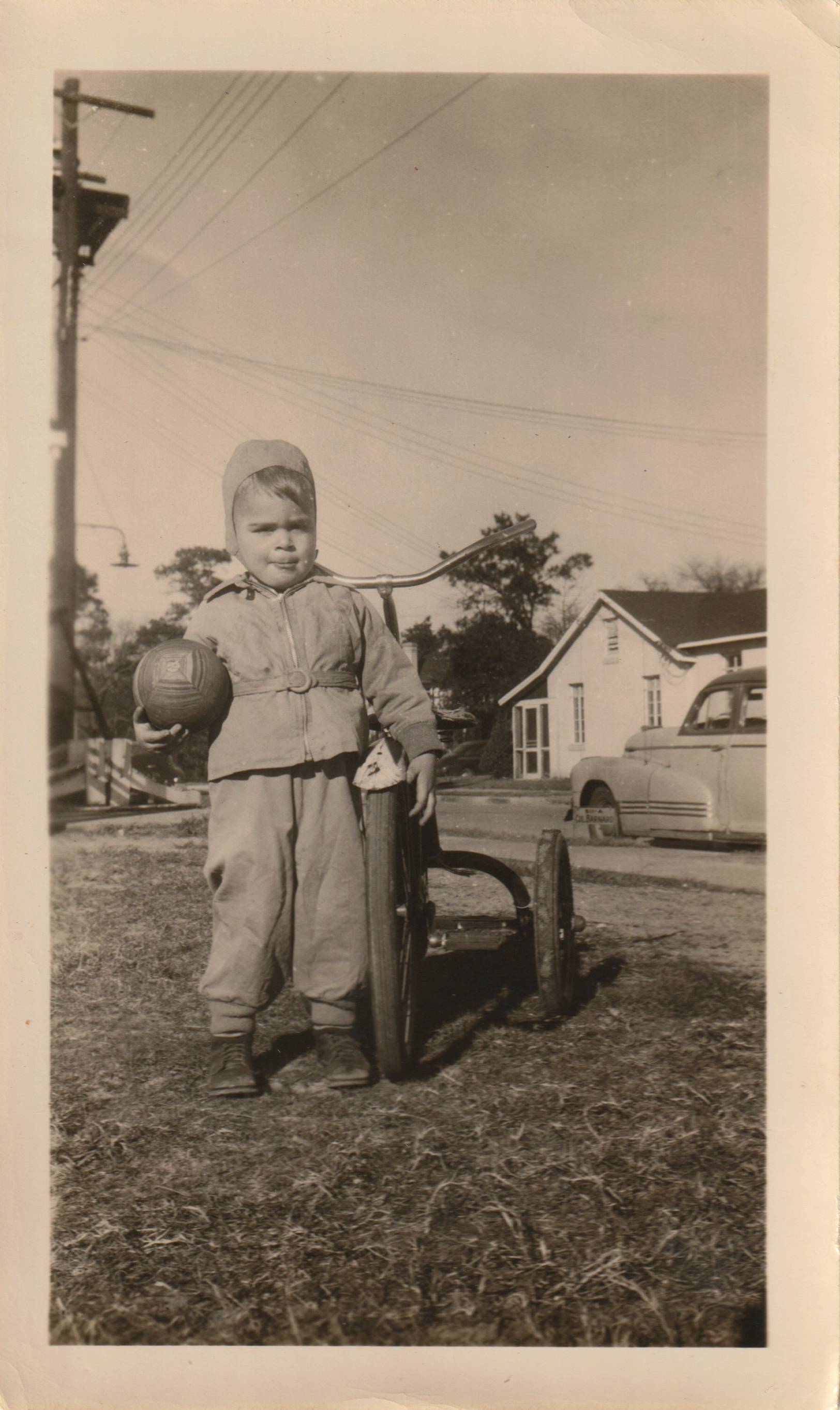 Vim &amp; Vigor By Bebe Hendricks