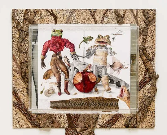 The Surreal World of Nall by Alyson Jackson