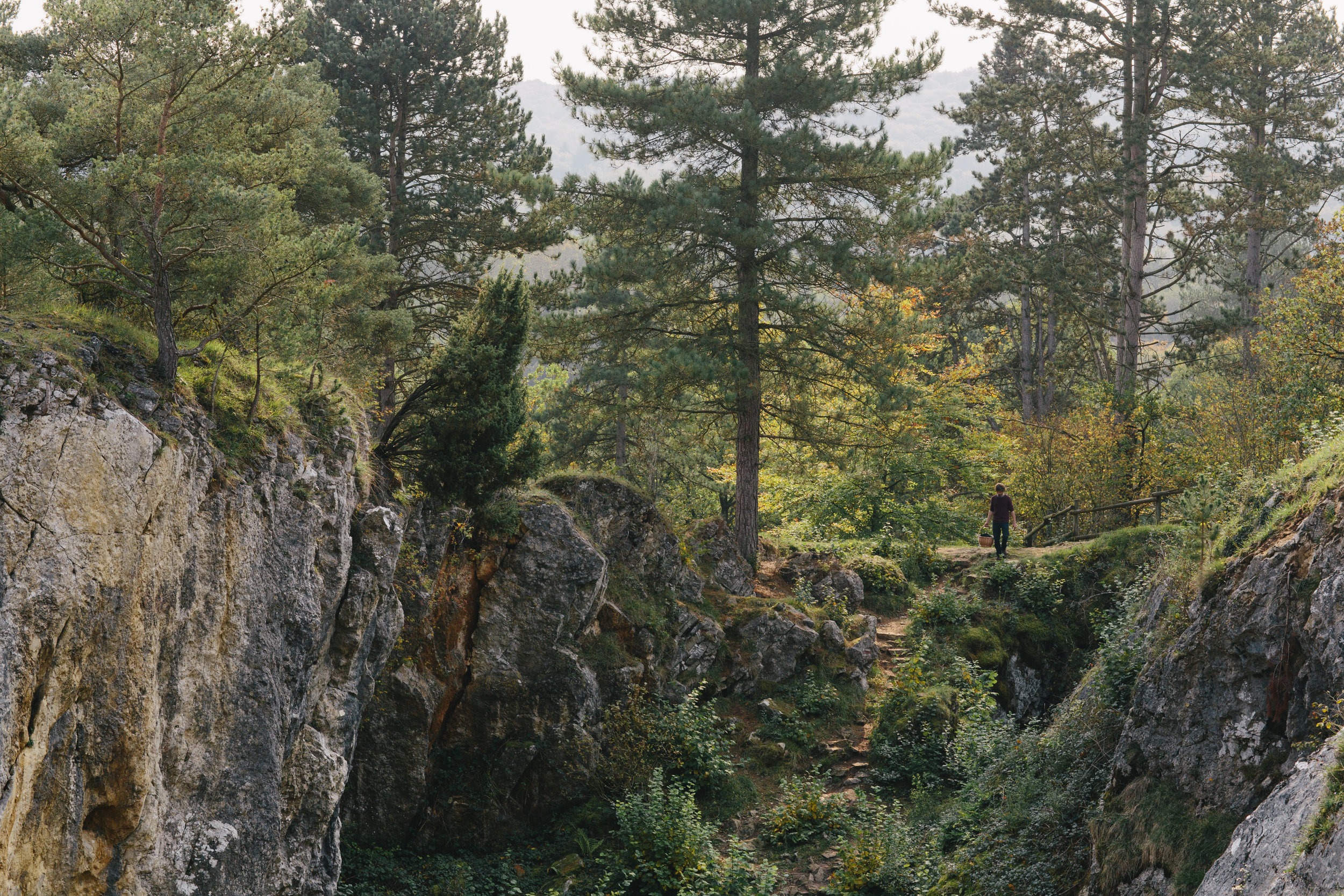 Picture by Yuri Andries "Fondry Des Chiens" 15 km from the house