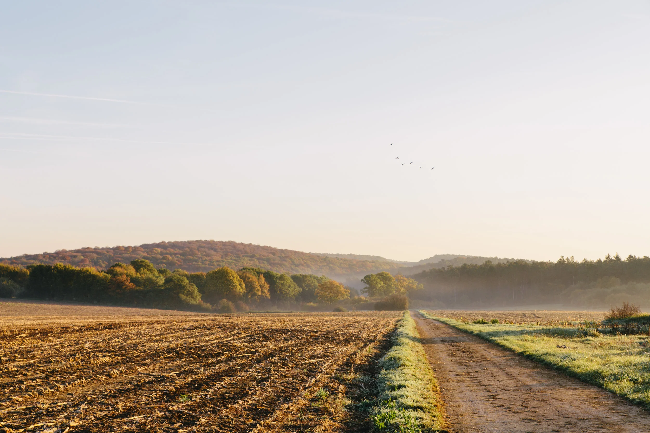 Picture By Yuri Andries "Landscape" Near house