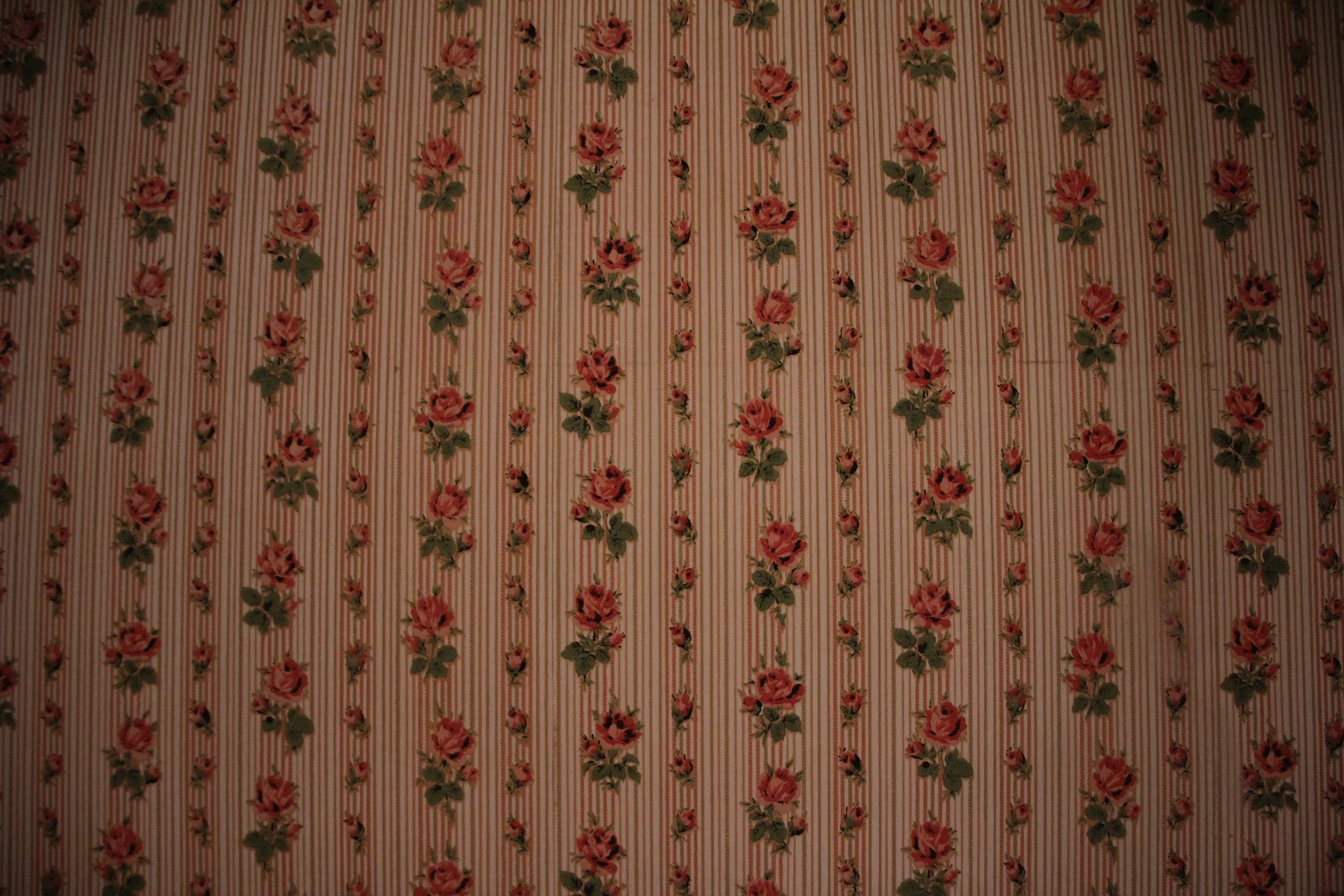 IMG_9935.jpg