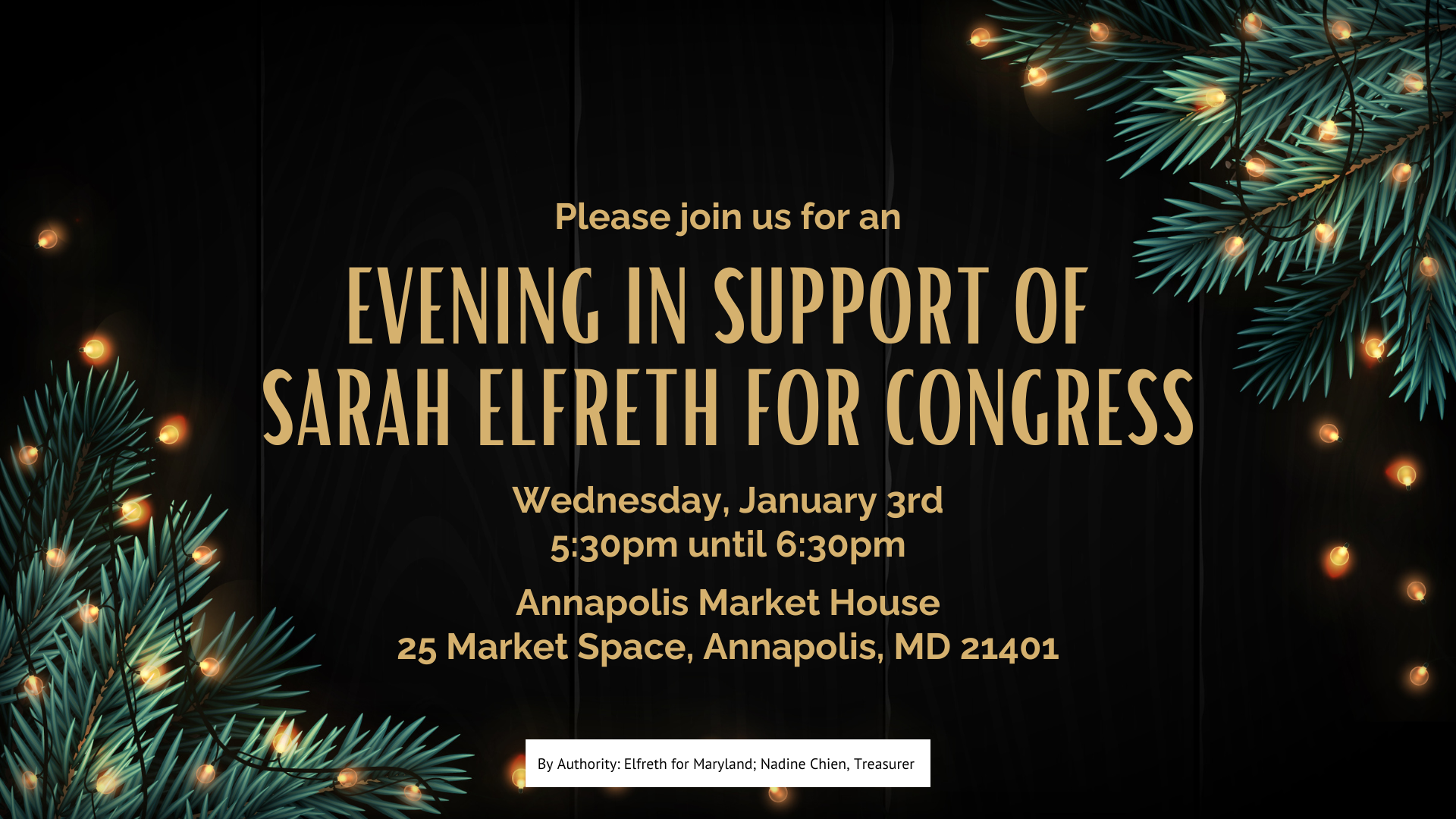 An Evening in Support of Sarah Elfreth for Congress — Sarah Elfreth