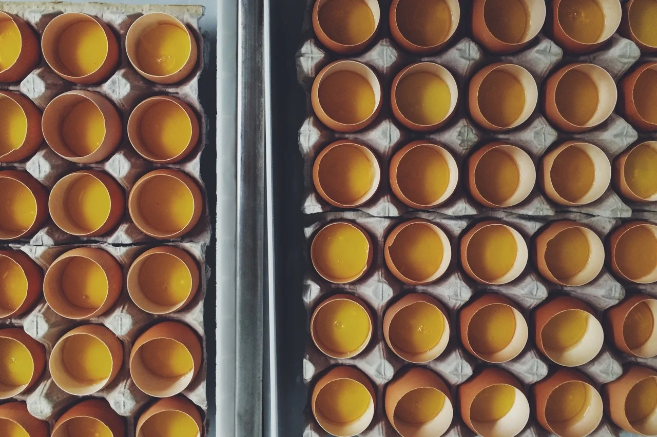 soft egg.jpg