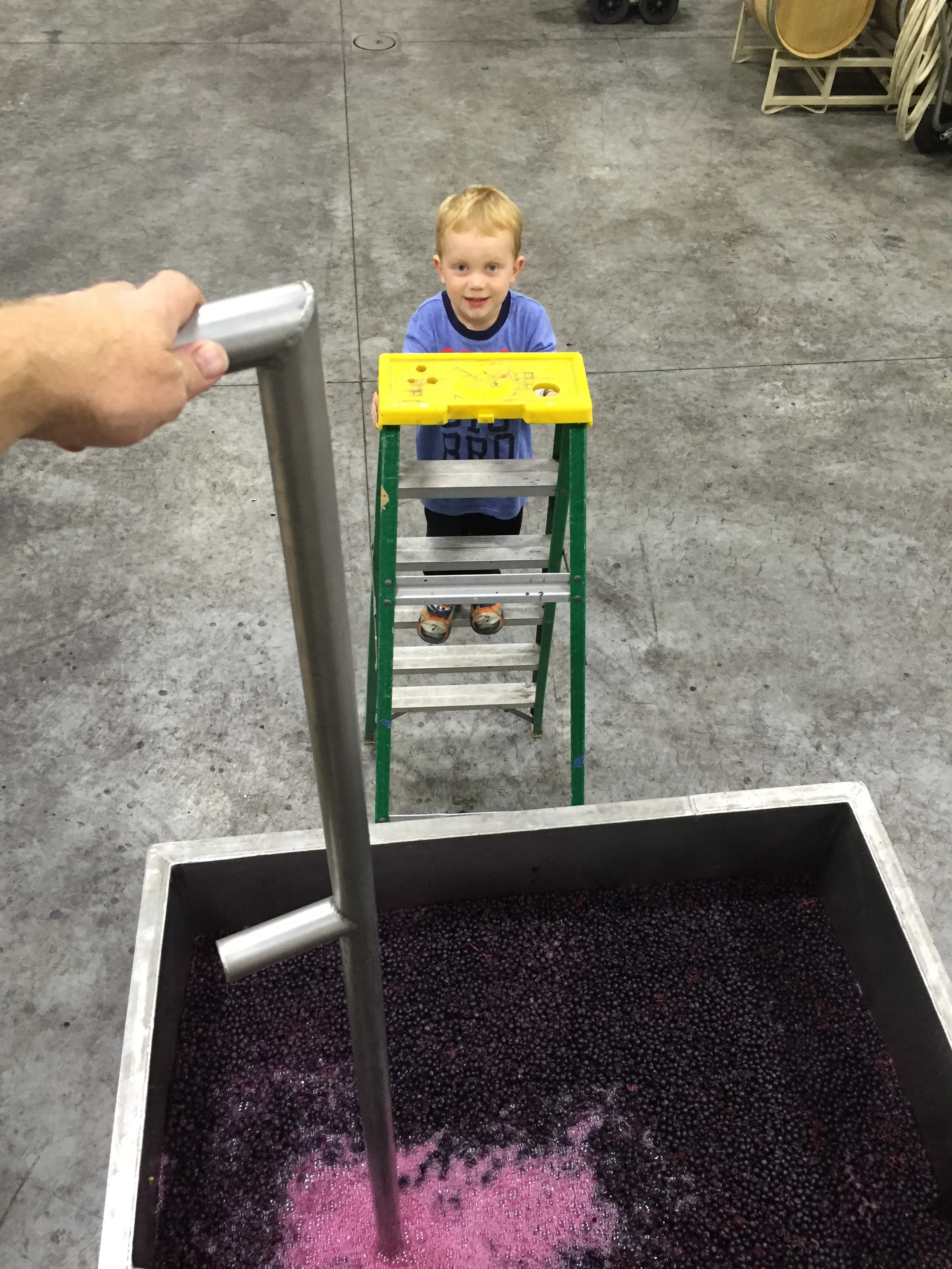 Punchdowns with son.JPG