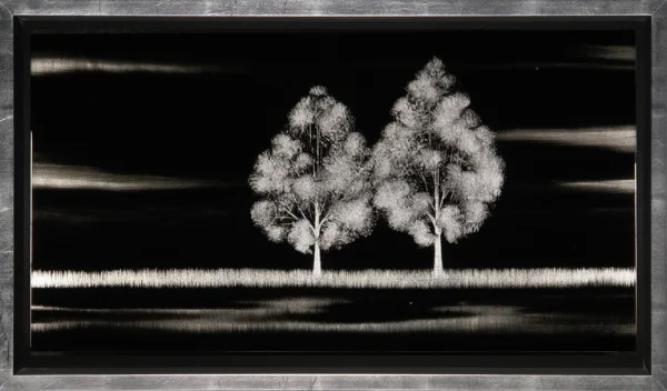 Agu11112_Duo_Black_17x32_sl.jpg