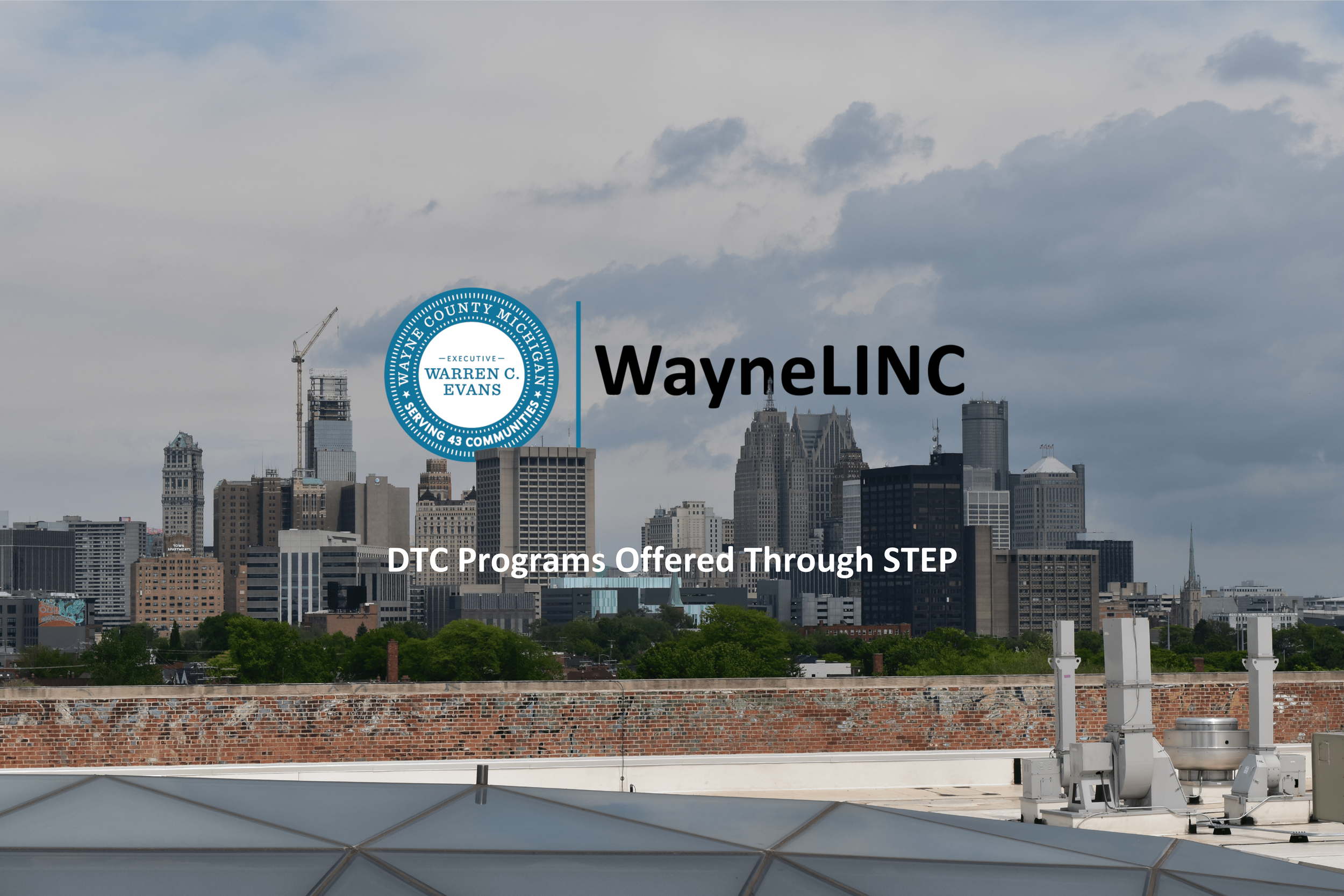 DTC Programs Offered Through STEP Header(1).png