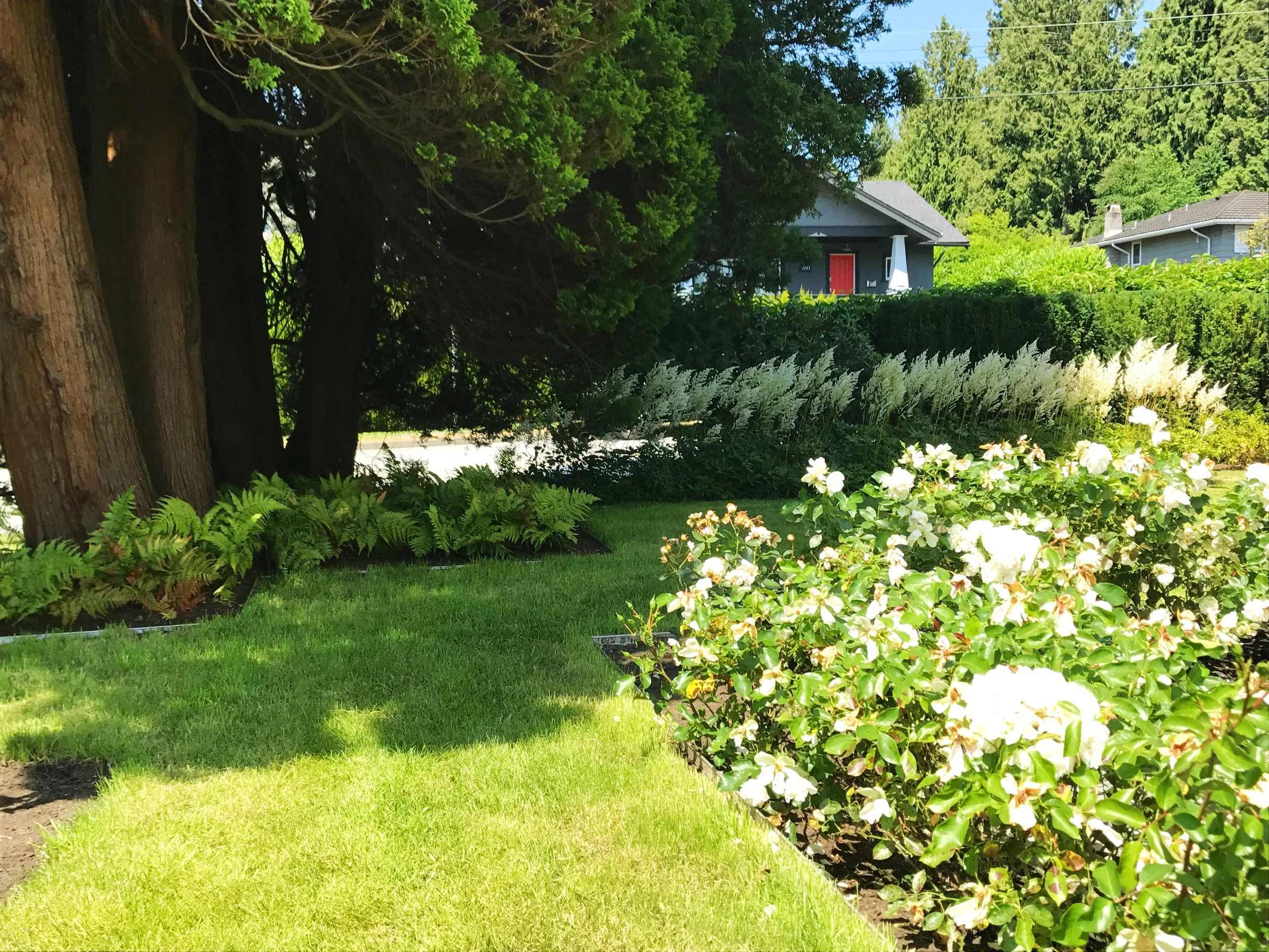 Inspiring North Vancouver Garden Installation Gallery — Bloomingfields