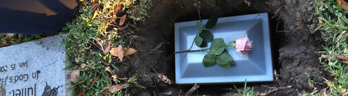 Finley Burial.jpg